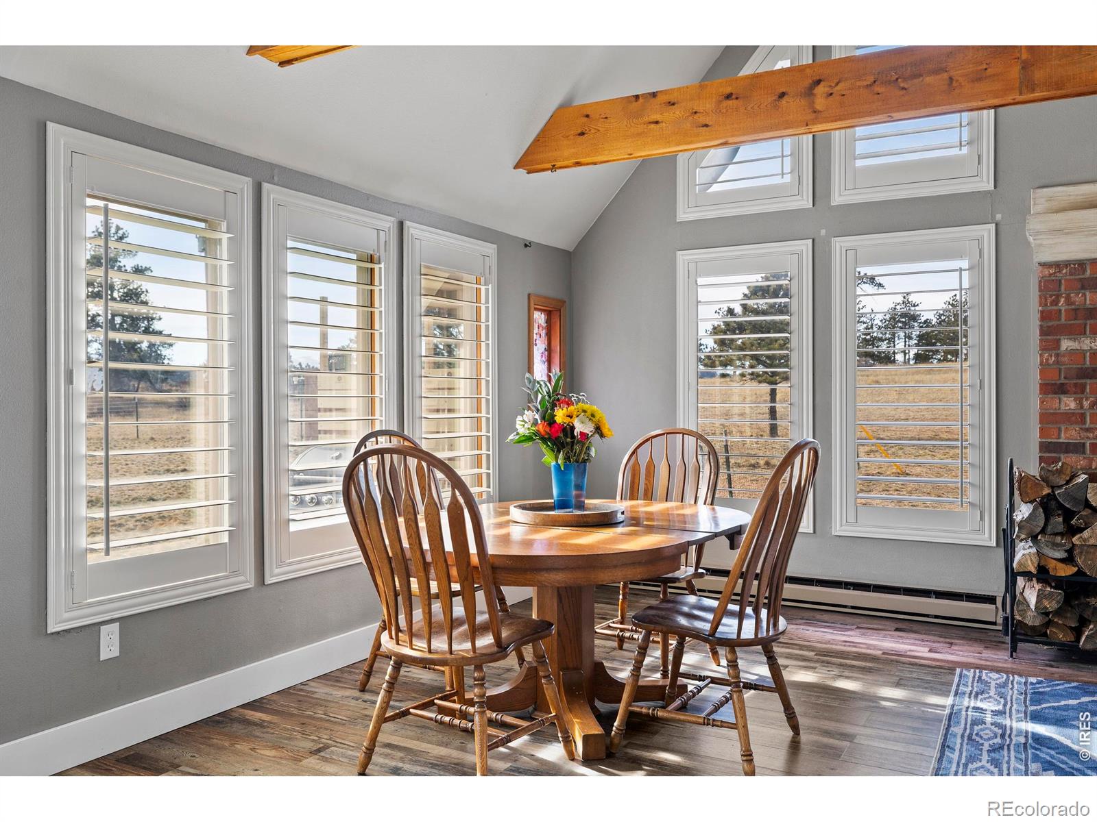 MLS Image #11 for 100 s cucharas mountain court,livermore, Colorado