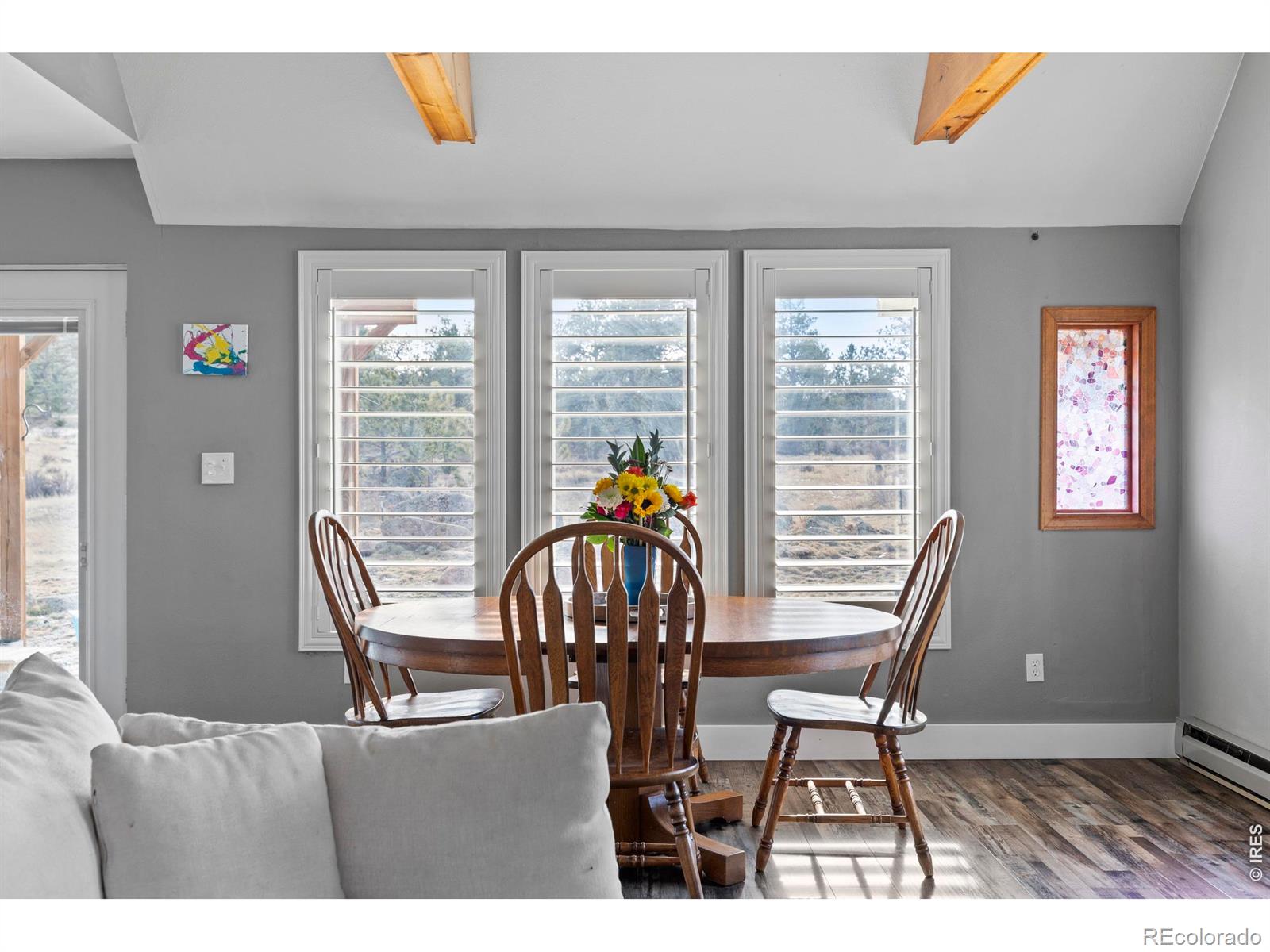 MLS Image #12 for 100 s cucharas mountain court,livermore, Colorado