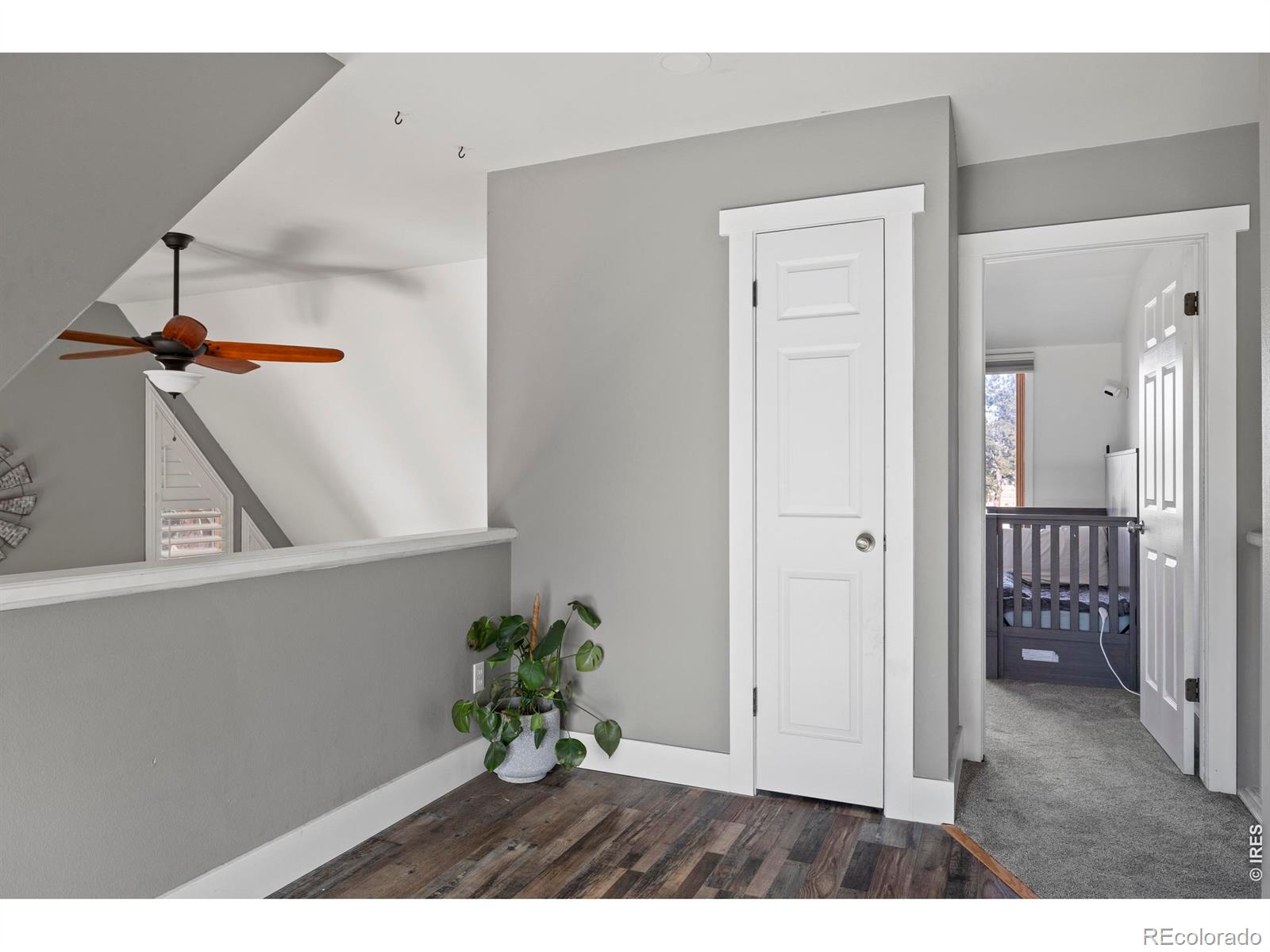 MLS Image #20 for 100 s cucharas mountain court,livermore, Colorado