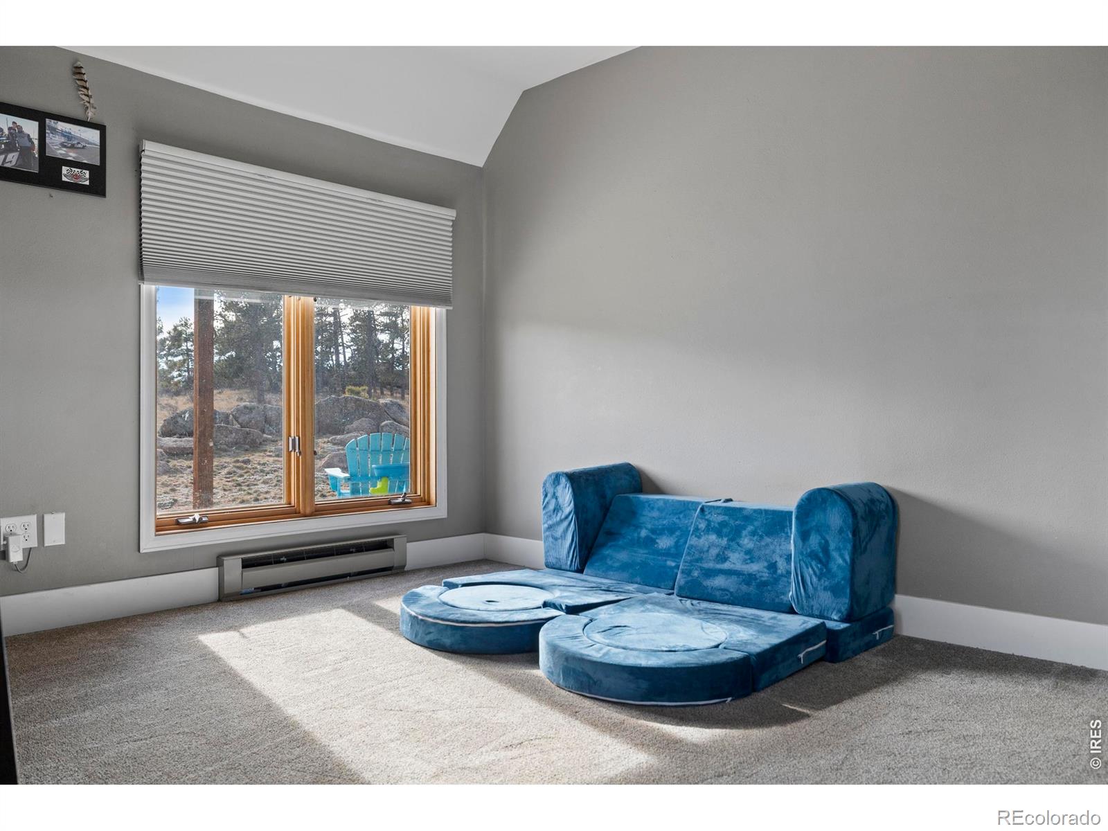 MLS Image #21 for 100 s cucharas mountain court,livermore, Colorado