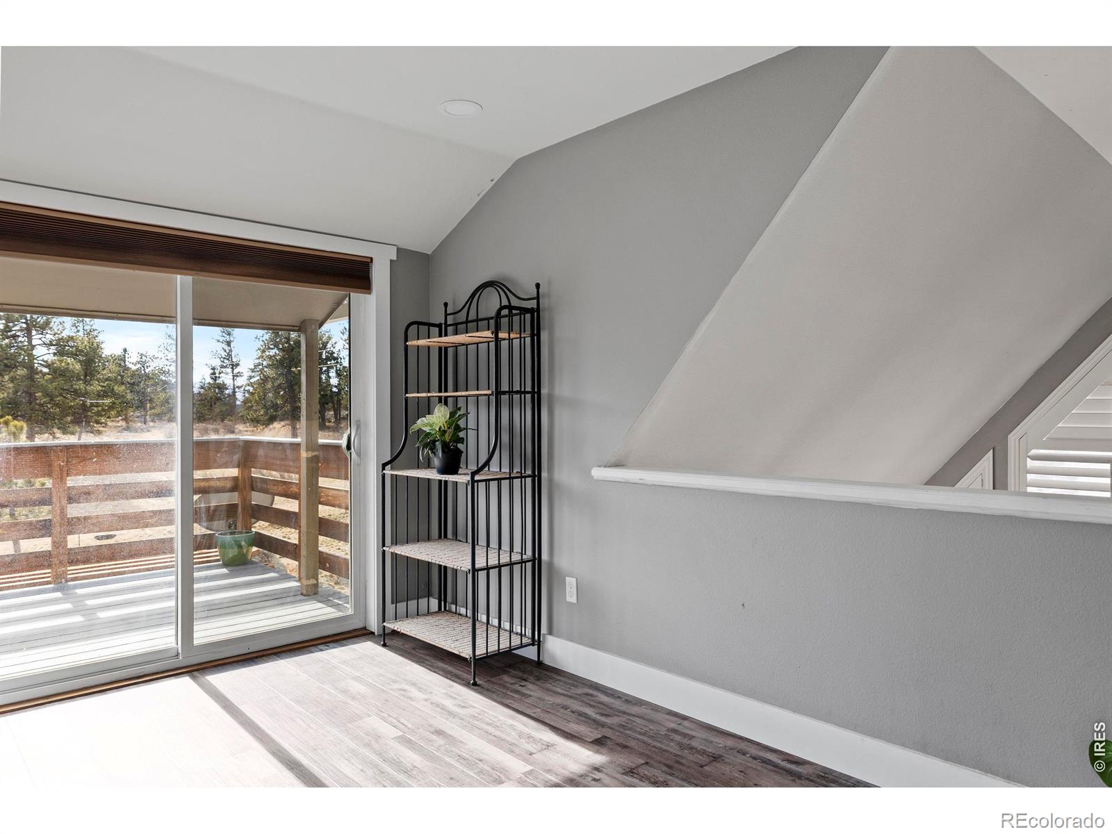 MLS Image #23 for 100 s cucharas mountain court,livermore, Colorado