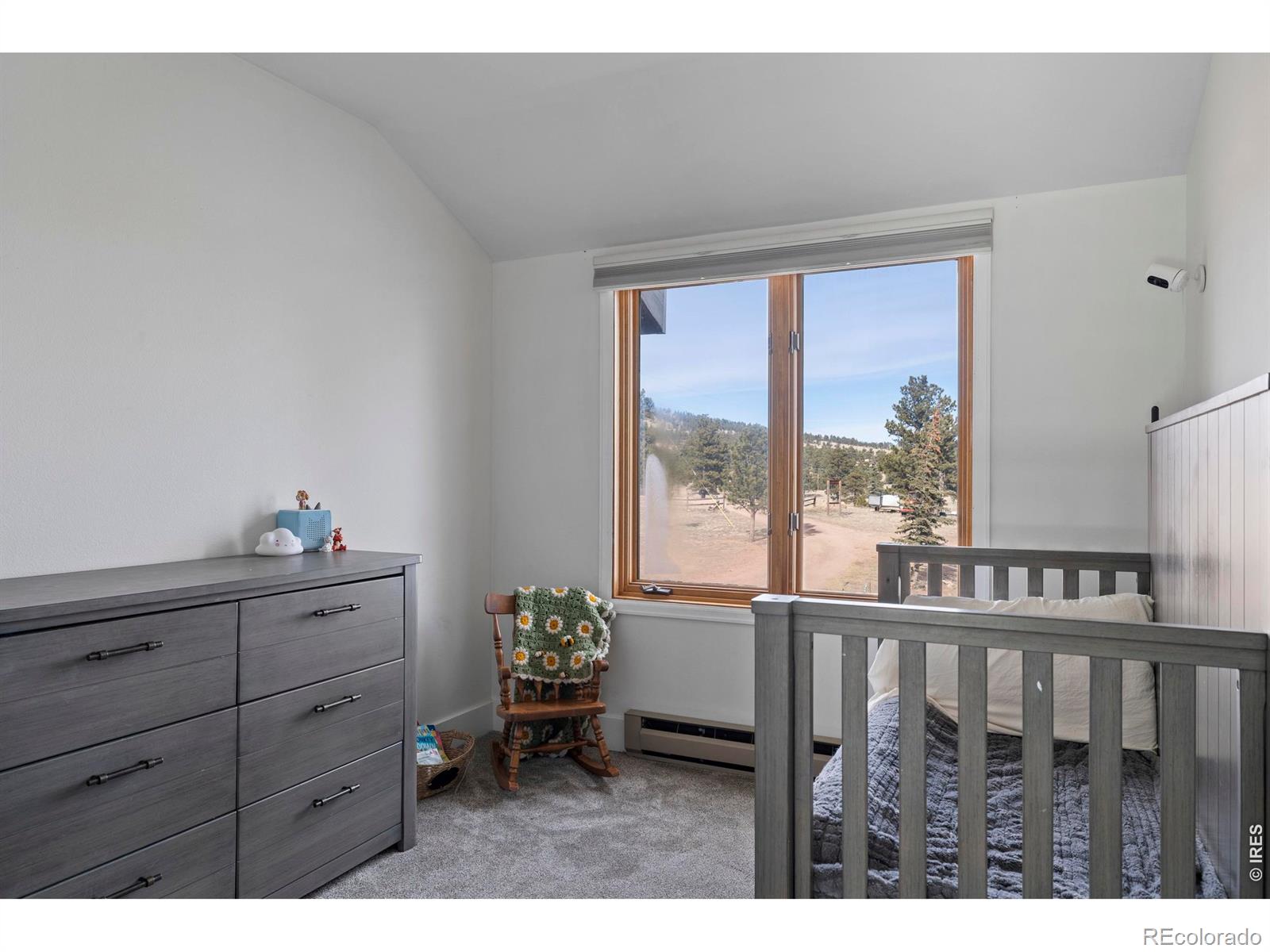 MLS Image #26 for 100 s cucharas mountain court,livermore, Colorado