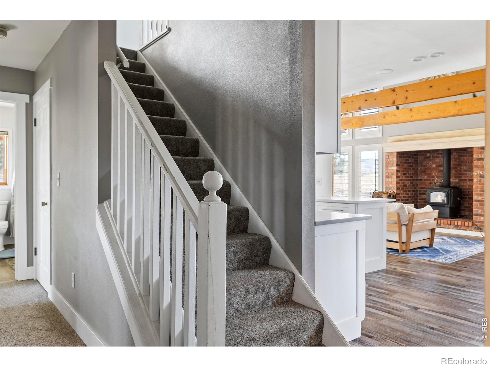 MLS Image #29 for 100 s cucharas mountain court,livermore, Colorado