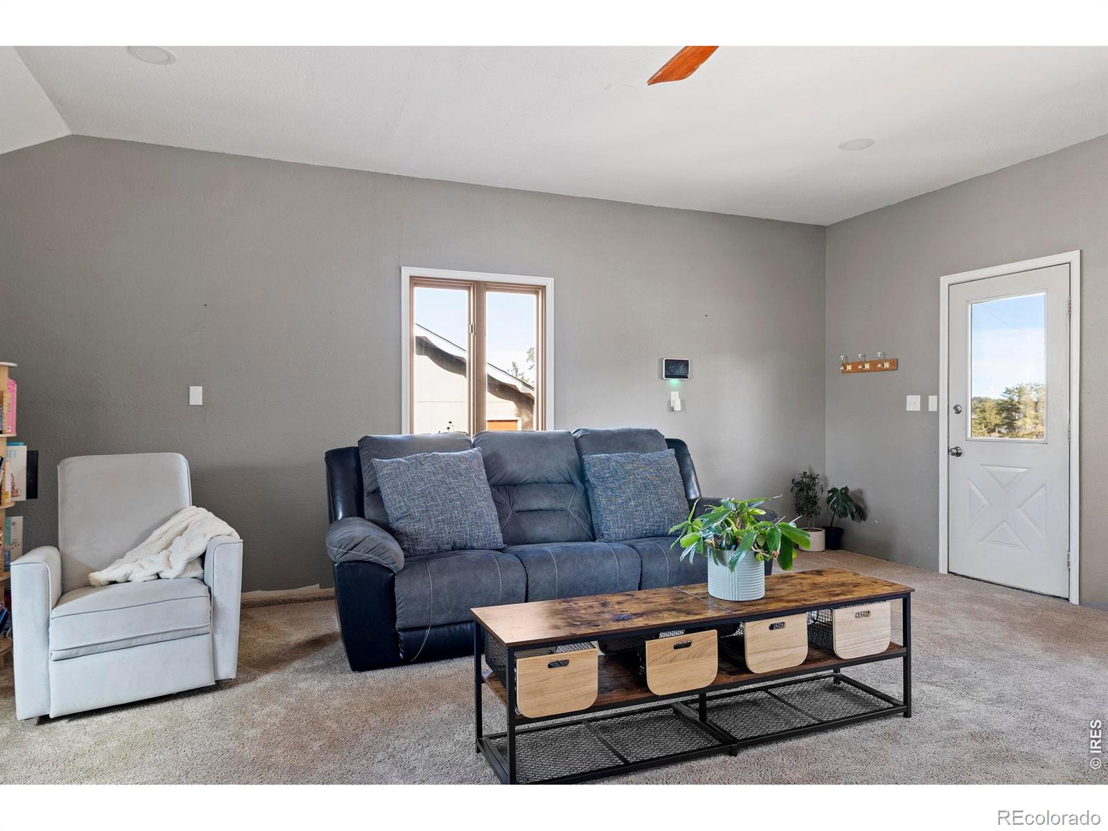 MLS Image #30 for 100 s cucharas mountain court,livermore, Colorado