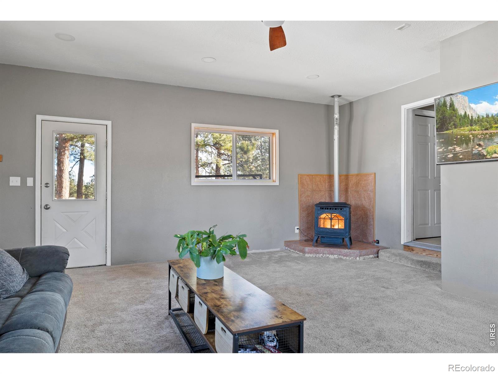 MLS Image #31 for 100 s cucharas mountain court,livermore, Colorado