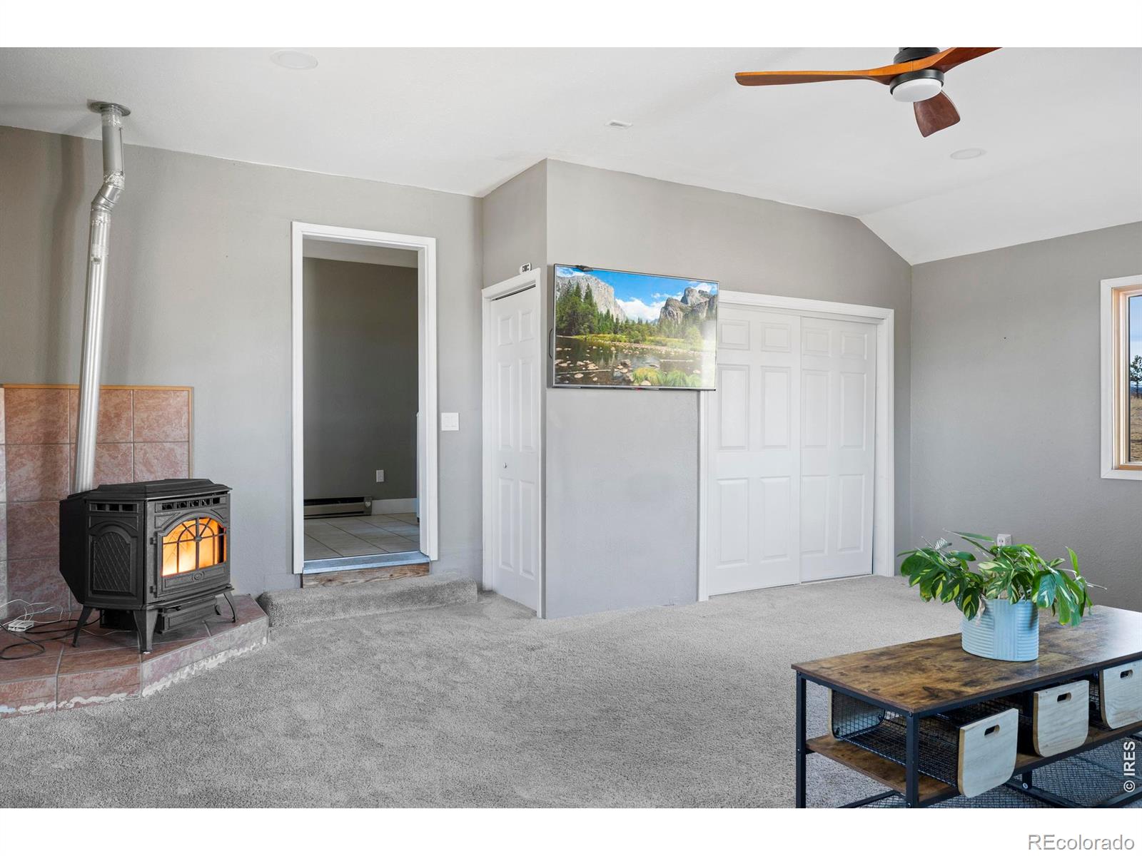 MLS Image #32 for 100 s cucharas mountain court,livermore, Colorado