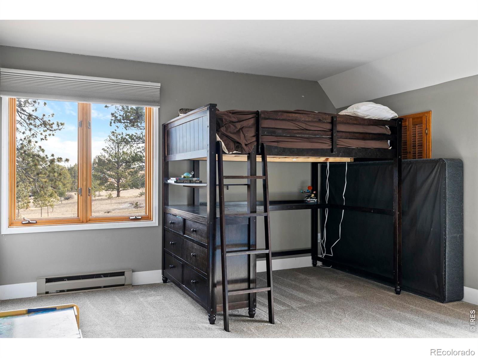 MLS Image #33 for 100 s cucharas mountain court,livermore, Colorado