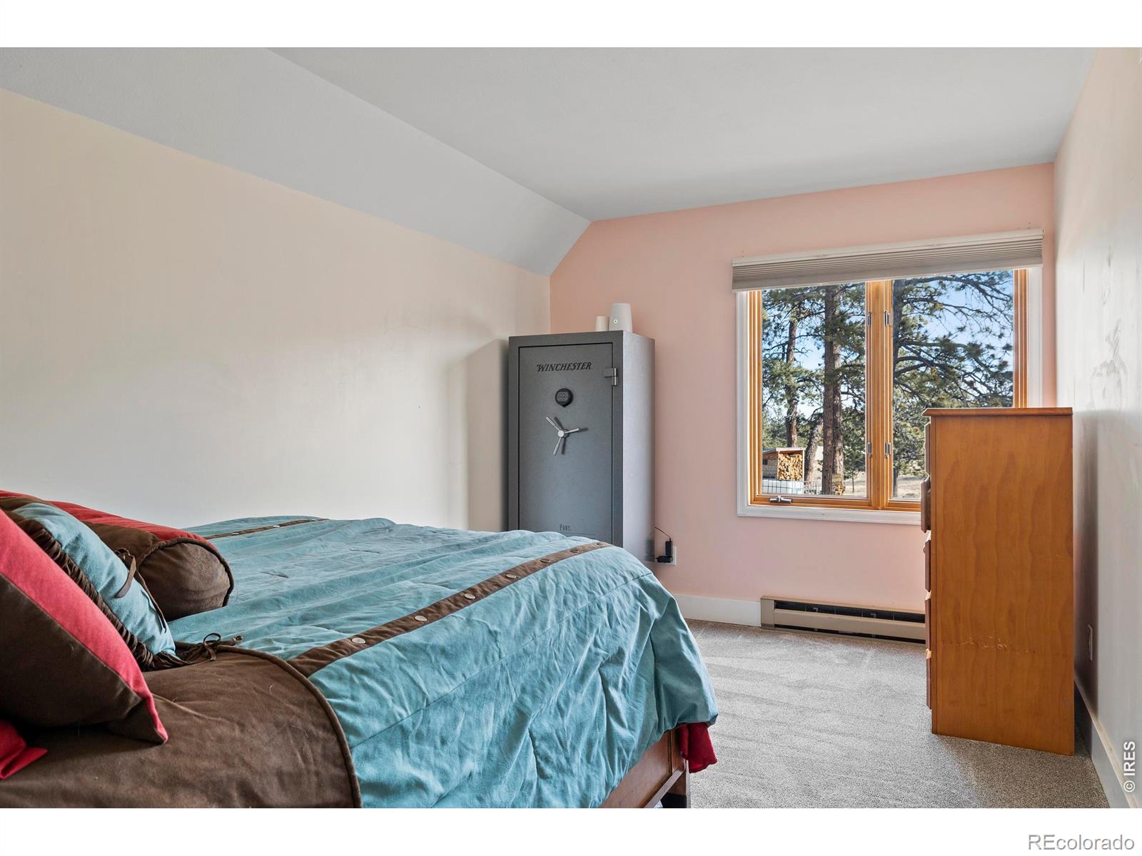 MLS Image #35 for 100 s cucharas mountain court,livermore, Colorado