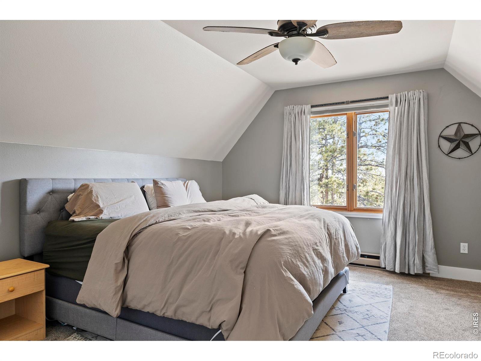 MLS Image #36 for 100 s cucharas mountain court,livermore, Colorado