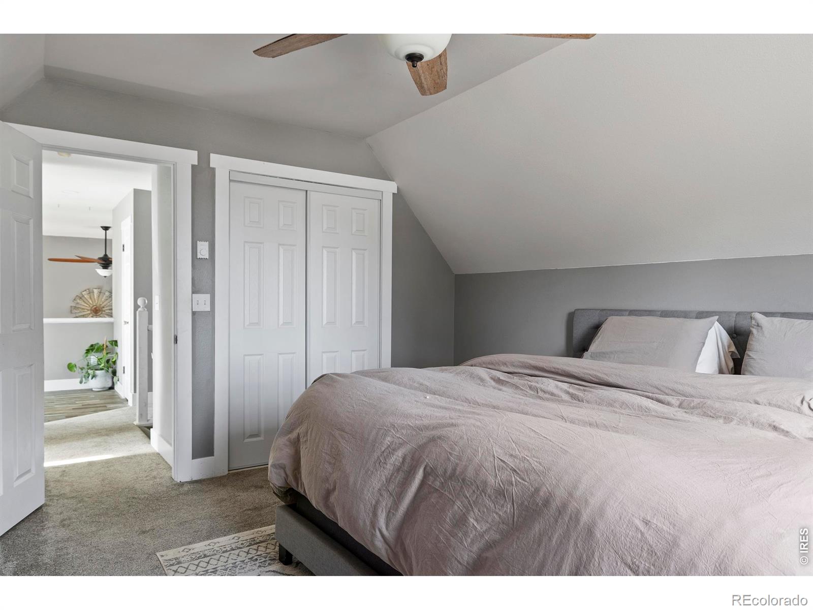MLS Image #37 for 100 s cucharas mountain court,livermore, Colorado