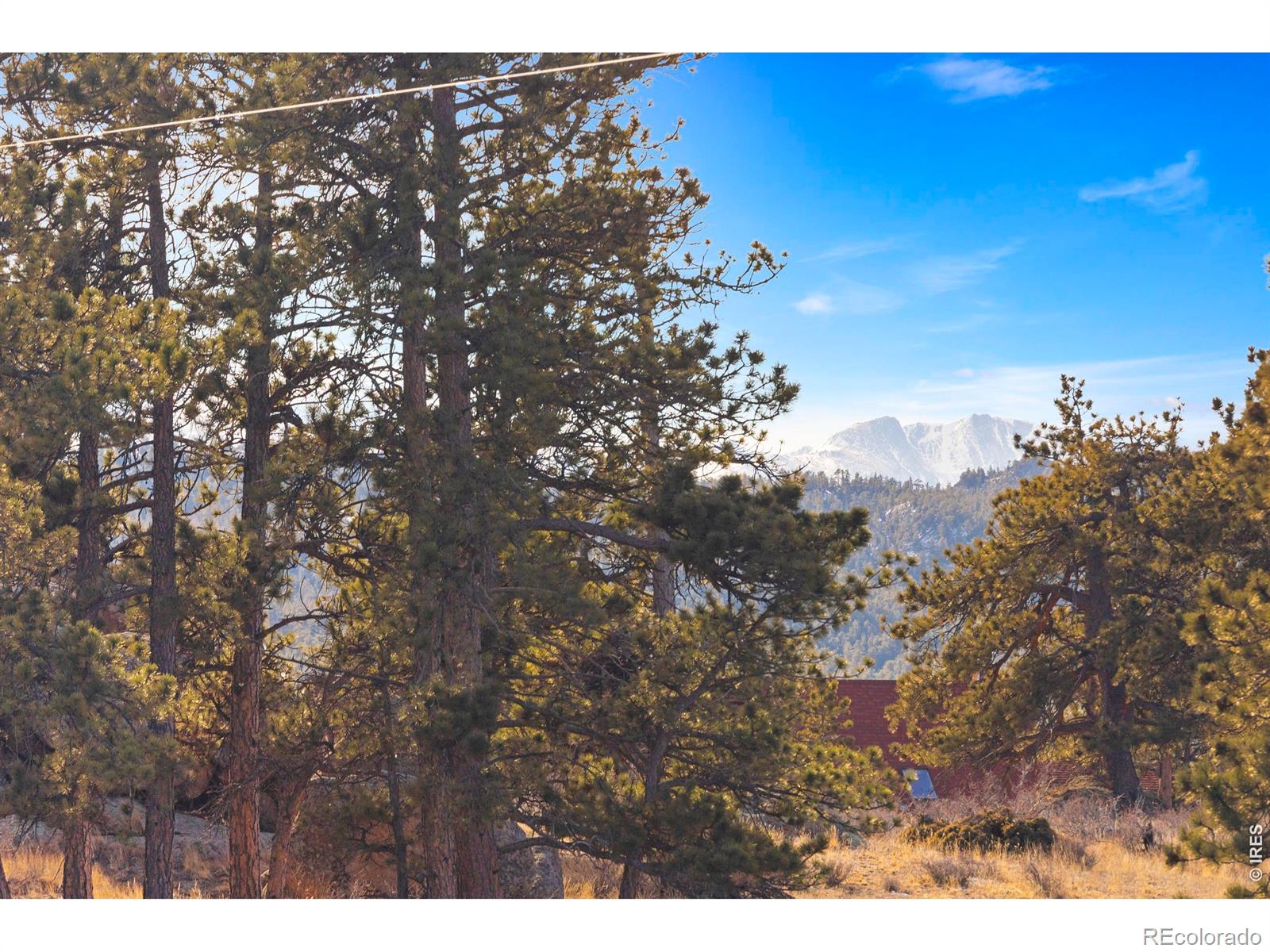 MLS Image #41 for 100 s cucharas mountain court,livermore, Colorado
