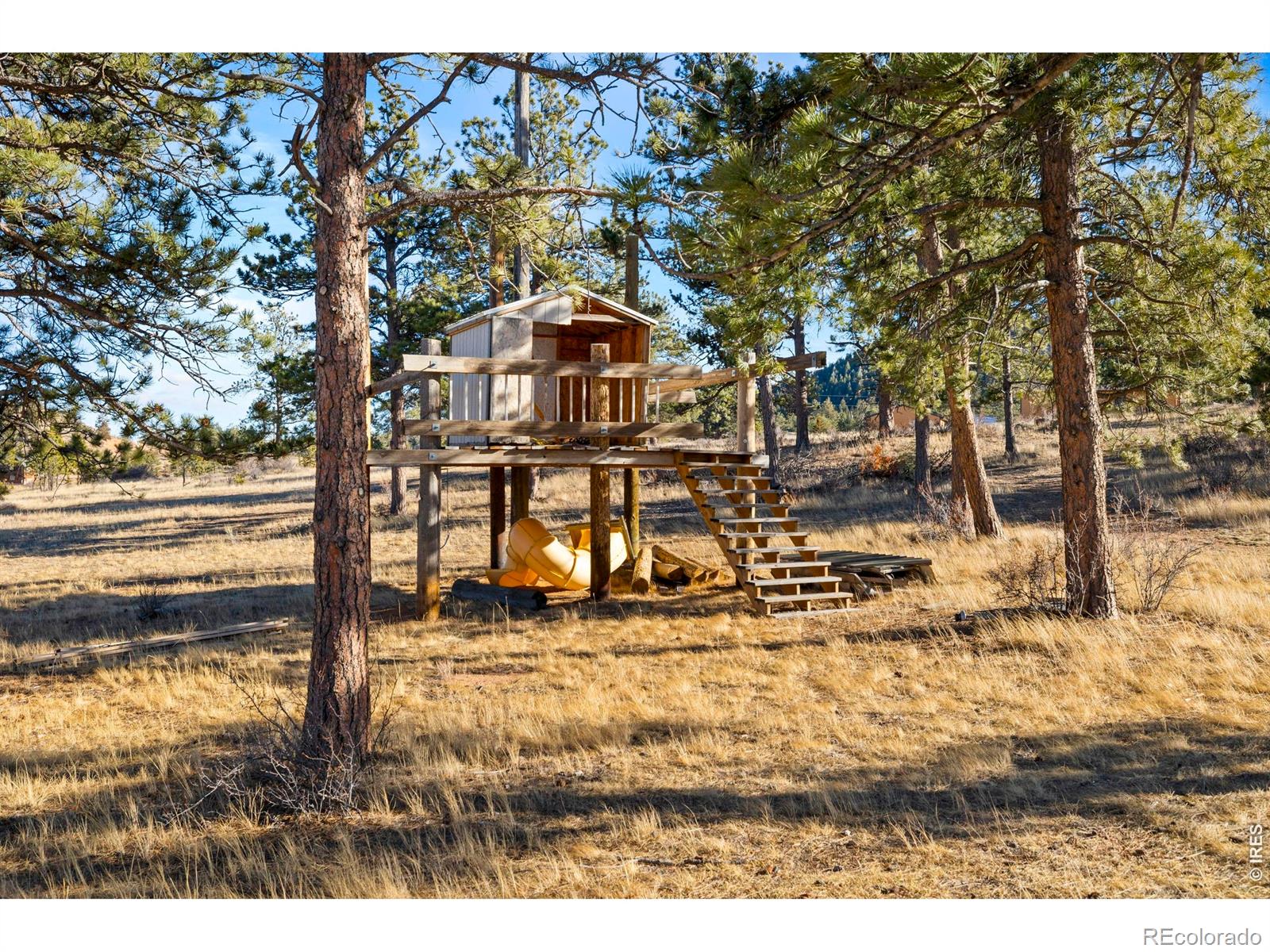 MLS Image #43 for 100 s cucharas mountain court,livermore, Colorado