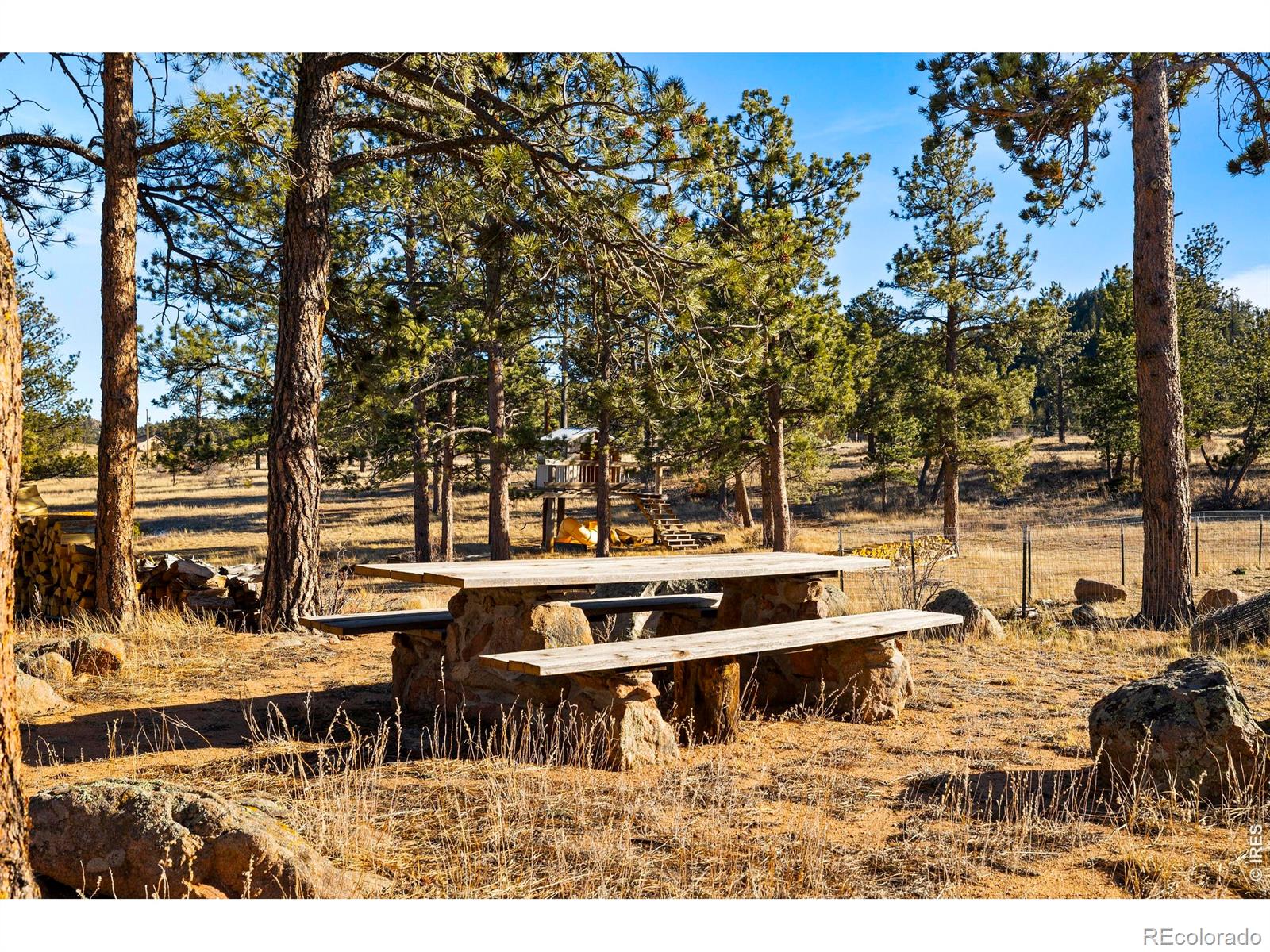 MLS Image #46 for 100 s cucharas mountain court,livermore, Colorado