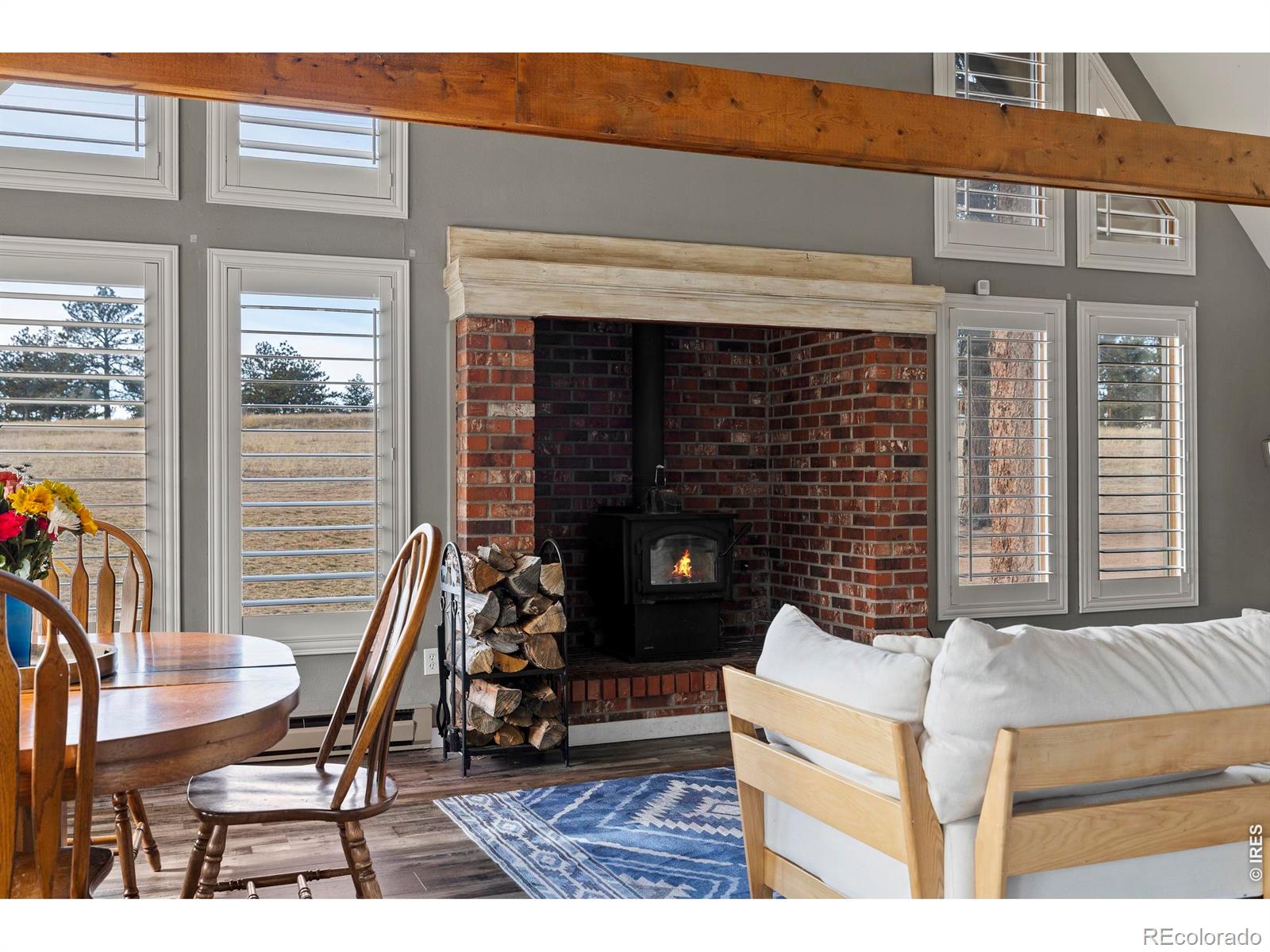 MLS Image #5 for 100 s cucharas mountain court,livermore, Colorado