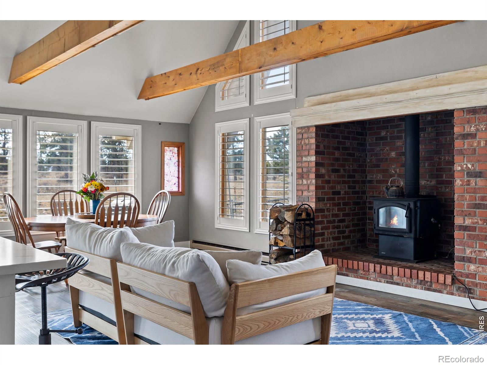 MLS Image #7 for 100 s cucharas mountain court,livermore, Colorado