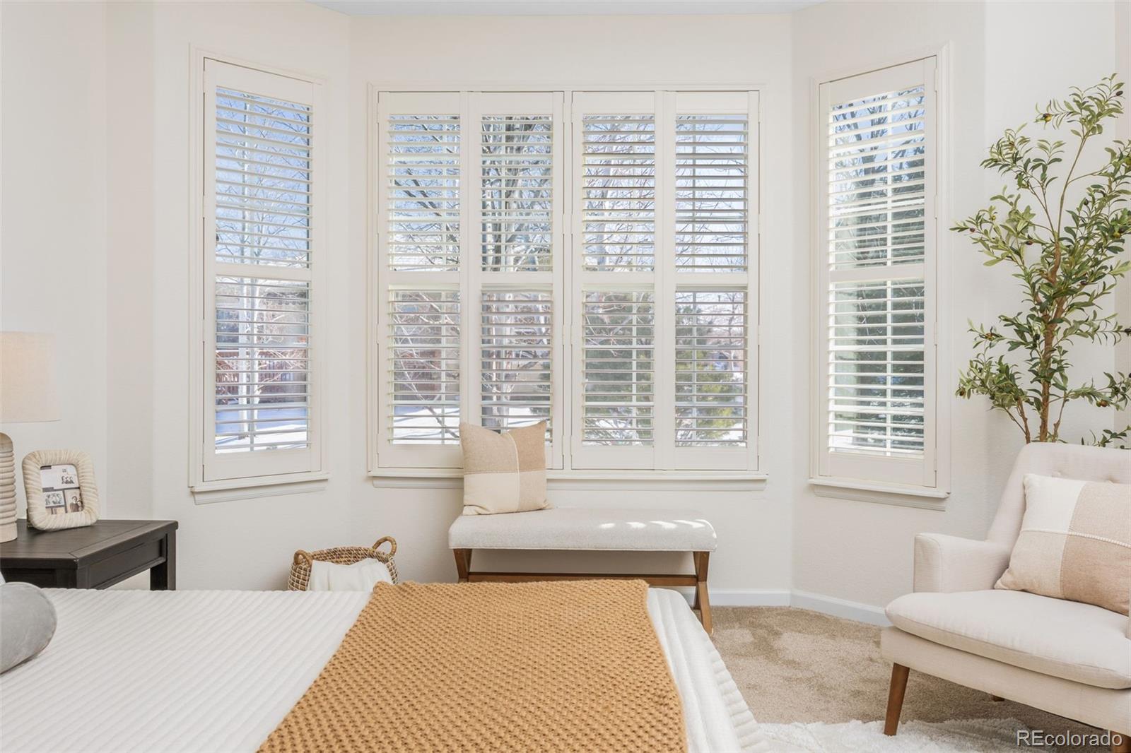 MLS Image #15 for 4620  belford circle,broomfield, Colorado