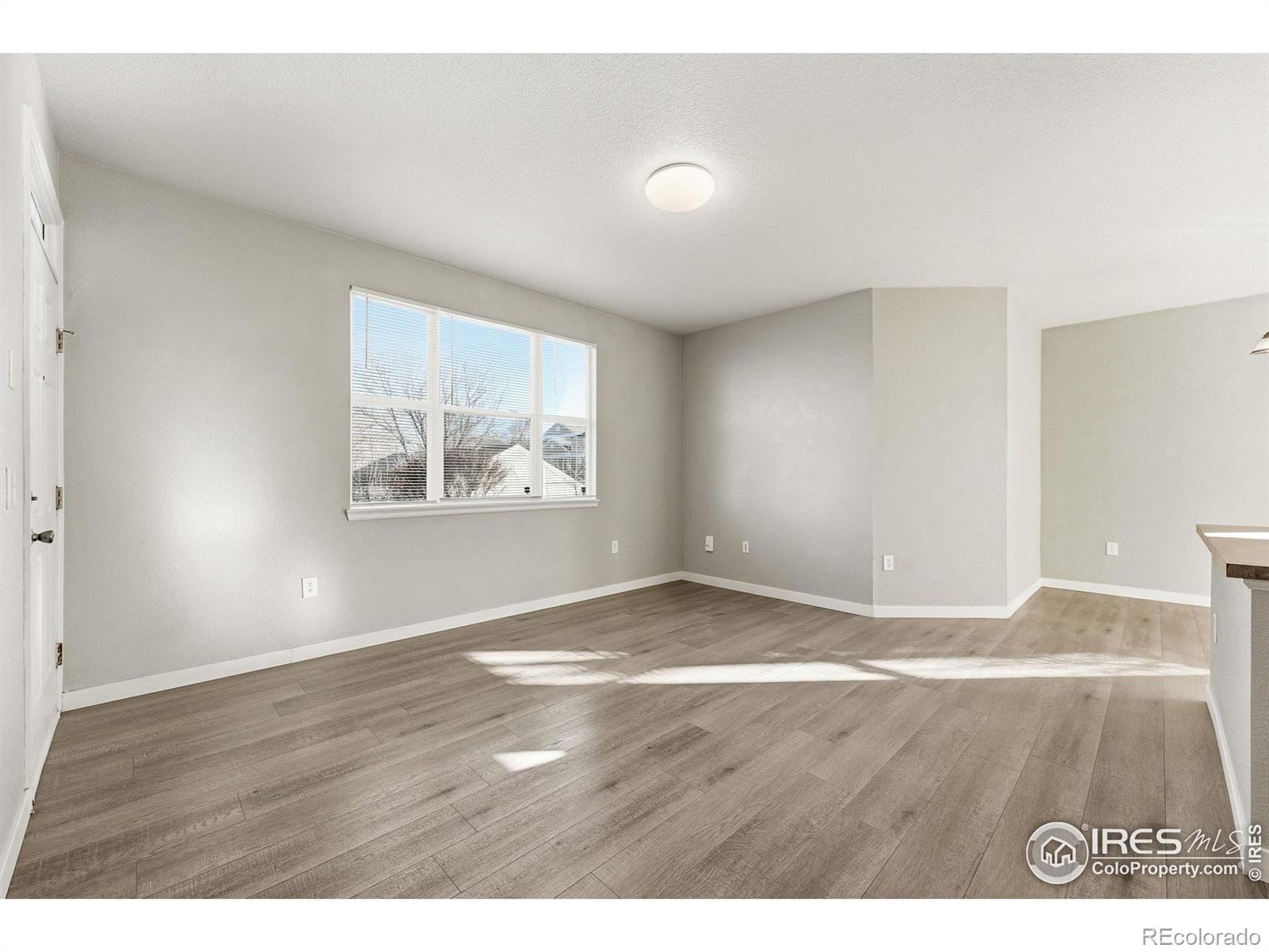 MLS Image #12 for 4501  nelson road,longmont, Colorado