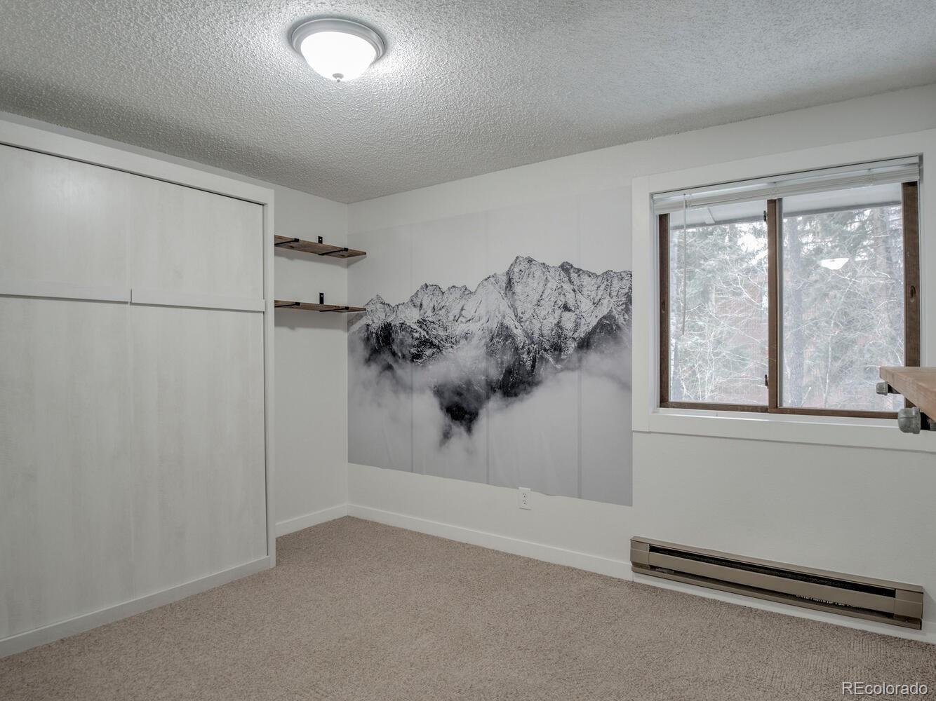 MLS Image #19 for 160  creekside drive,frisco, Colorado