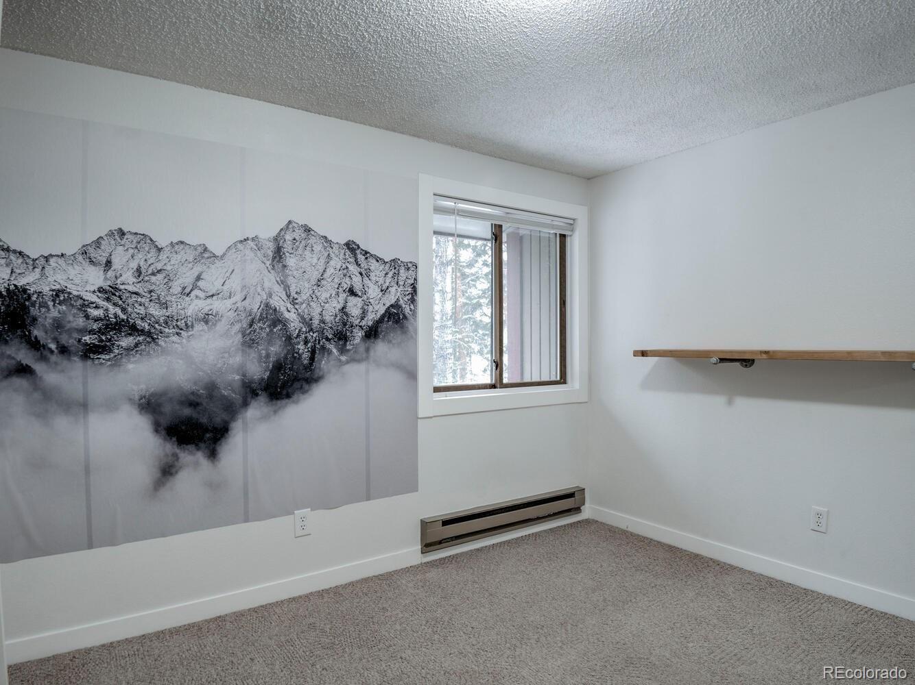 MLS Image #20 for 160  creekside drive,frisco, Colorado
