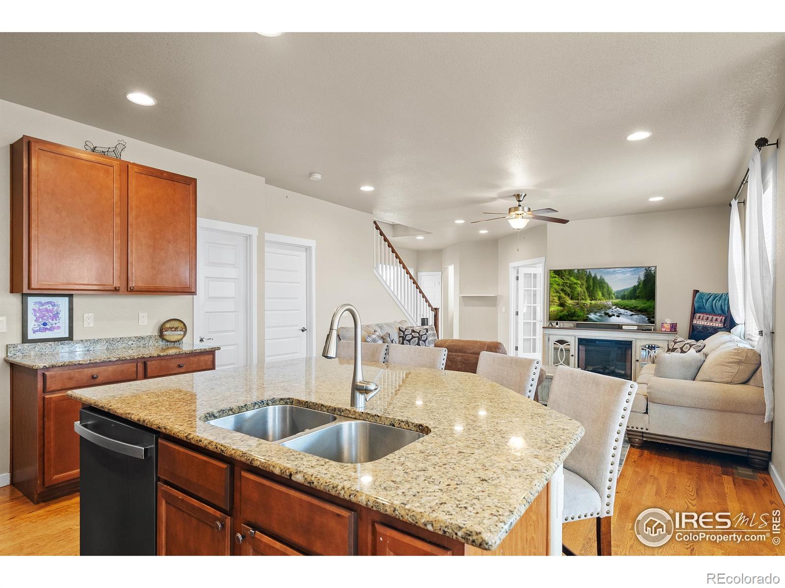 MLS Image #14 for 1577  sierra plaza street,severance, Colorado