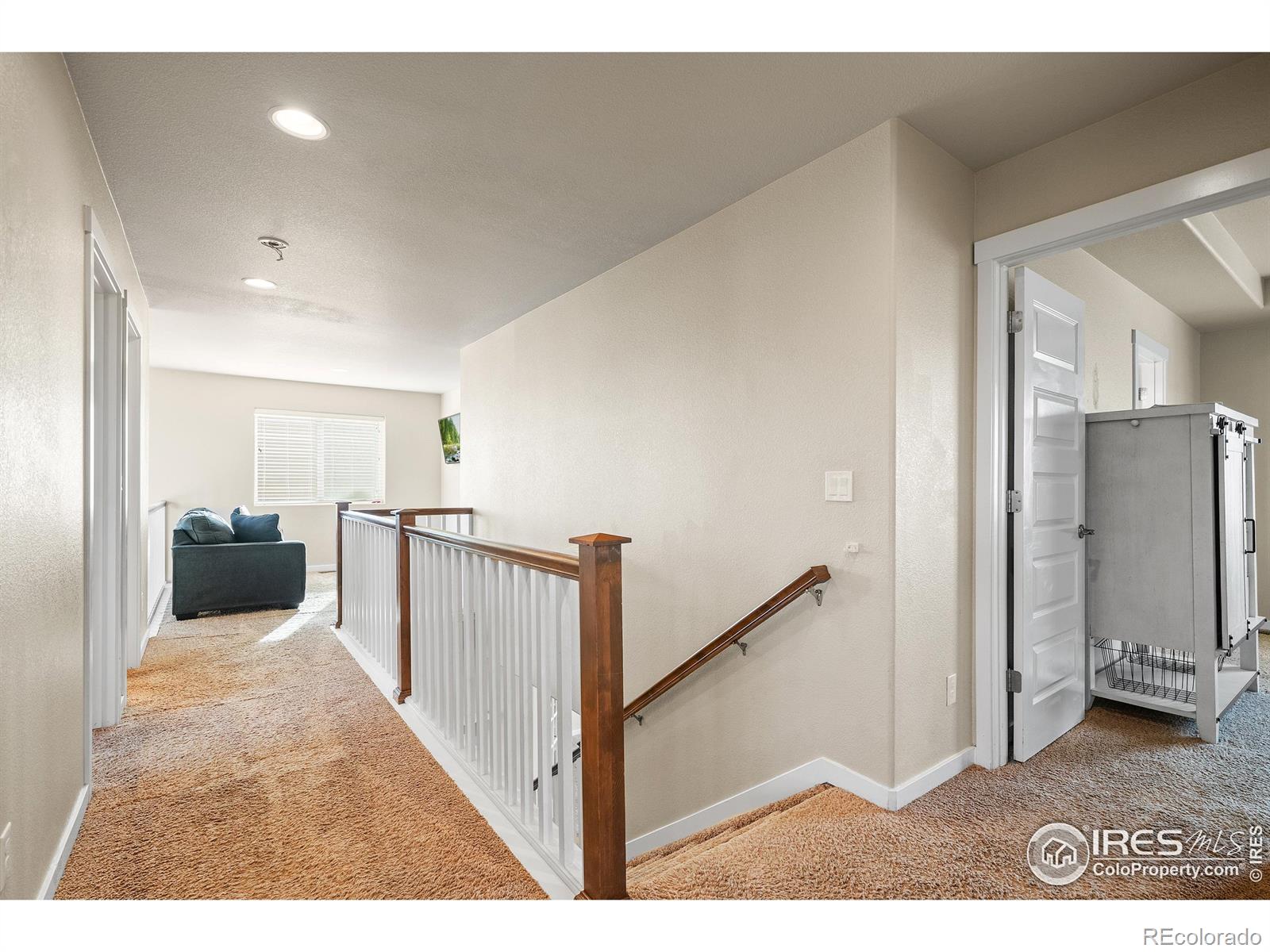 MLS Image #19 for 1577  sierra plaza street,severance, Colorado