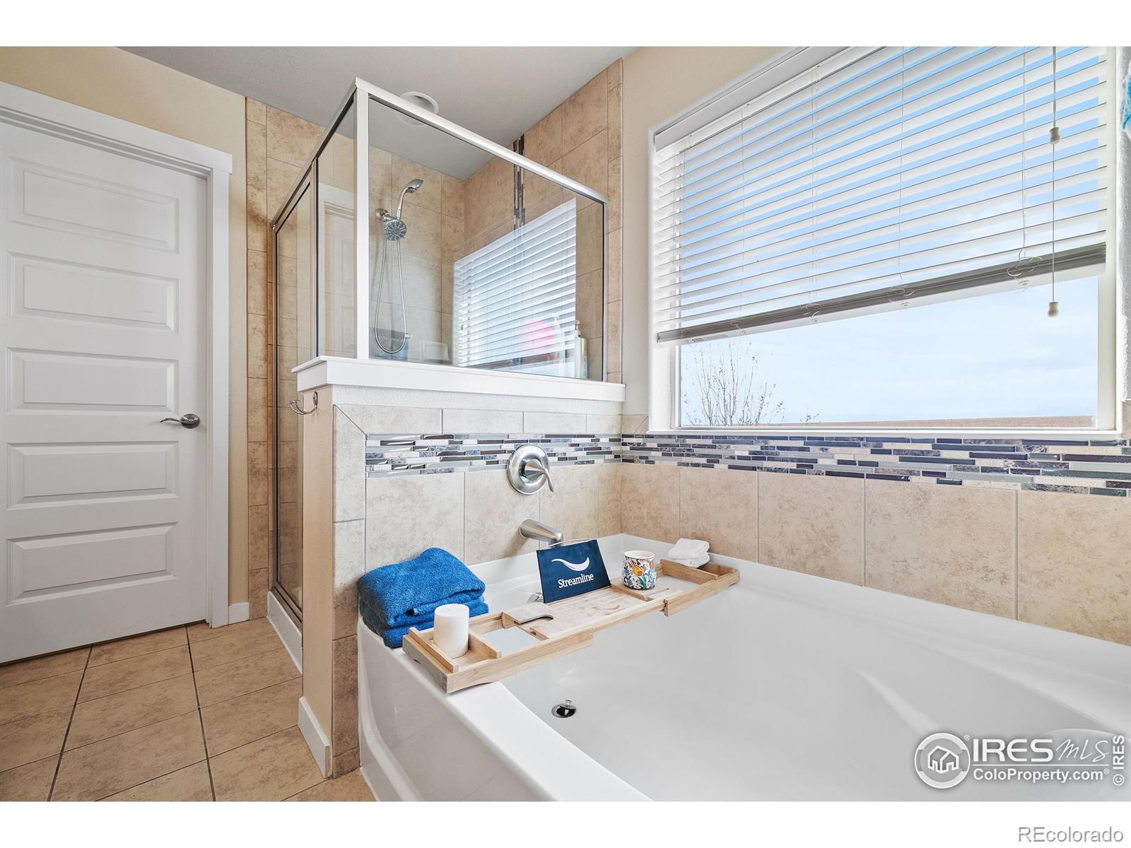 MLS Image #26 for 1577  sierra plaza street,severance, Colorado