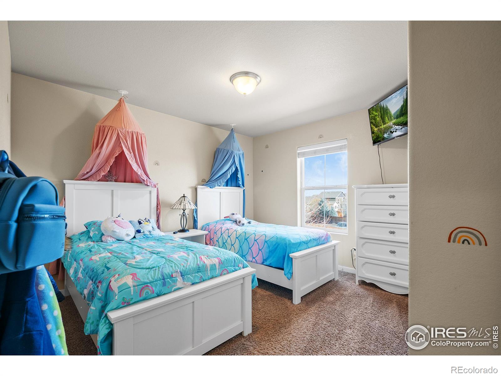 MLS Image #29 for 1577  sierra plaza street,severance, Colorado