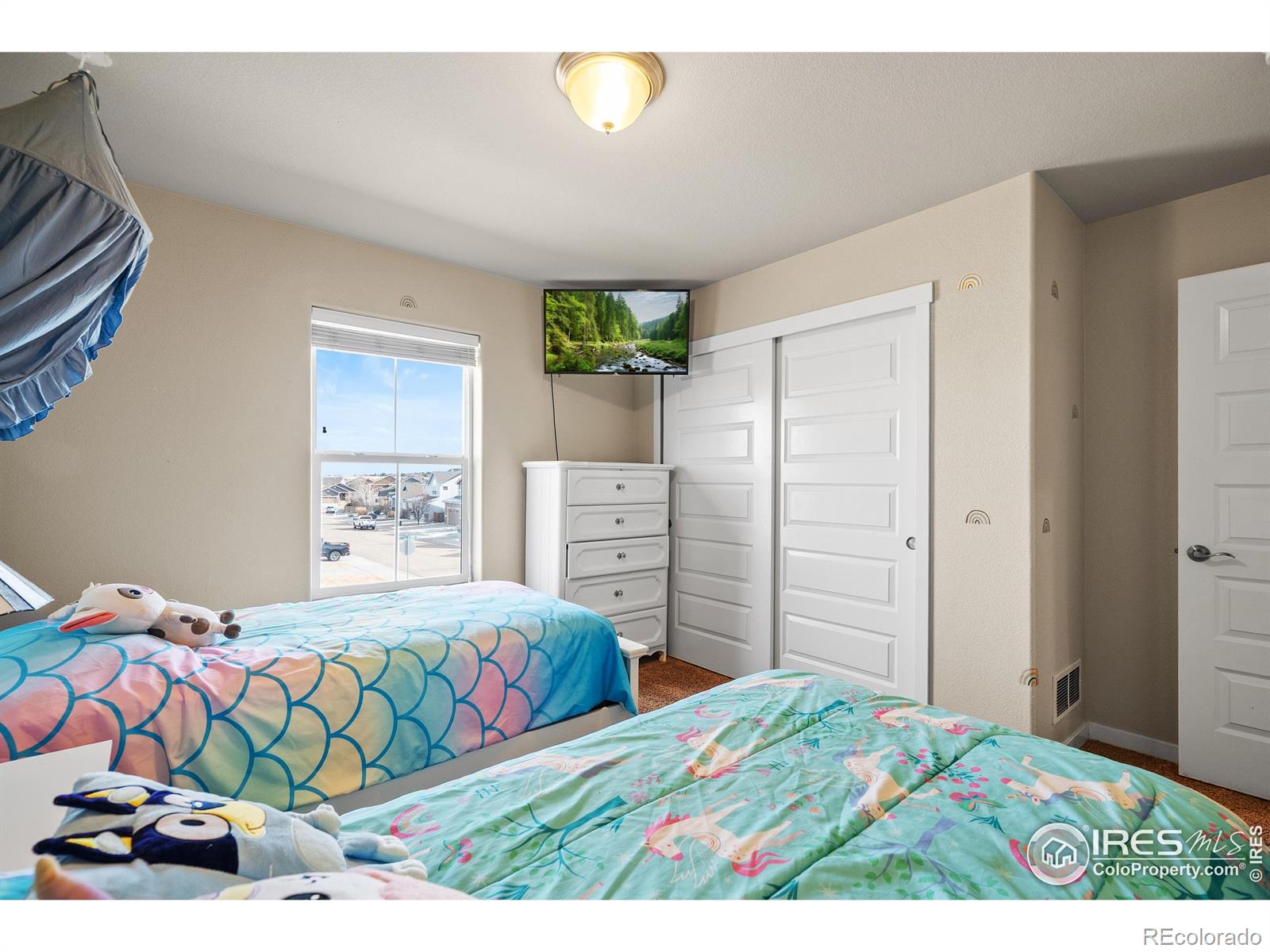 MLS Image #30 for 1577  sierra plaza street,severance, Colorado