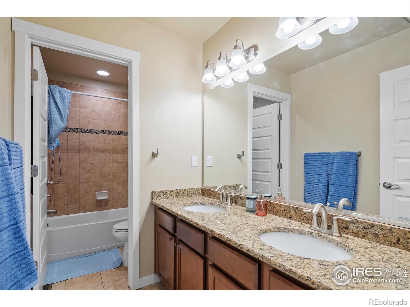 MLS Image #33 for 1577  sierra plaza street,severance, Colorado