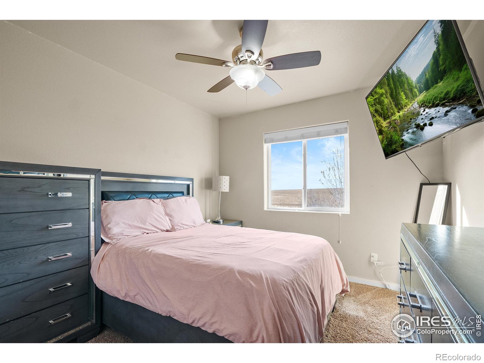 MLS Image #34 for 1577  sierra plaza street,severance, Colorado