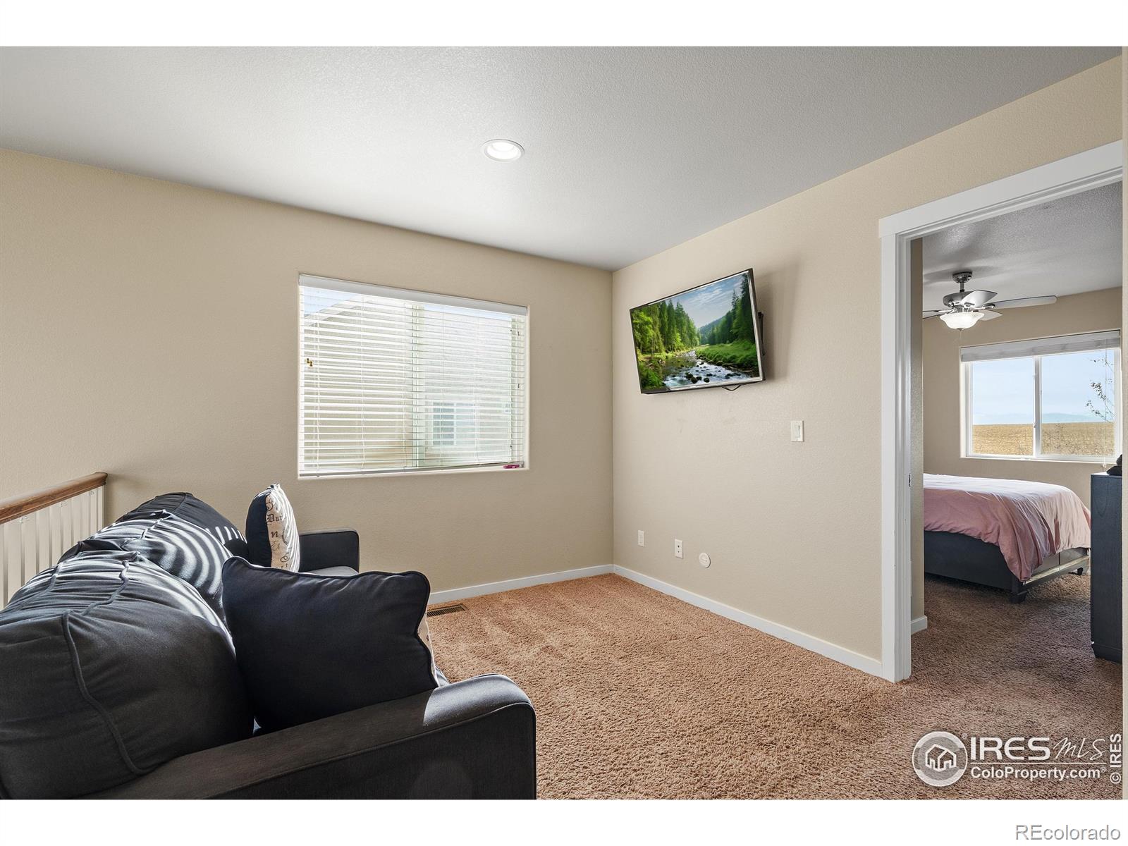 MLS Image #37 for 1577  sierra plaza street,severance, Colorado