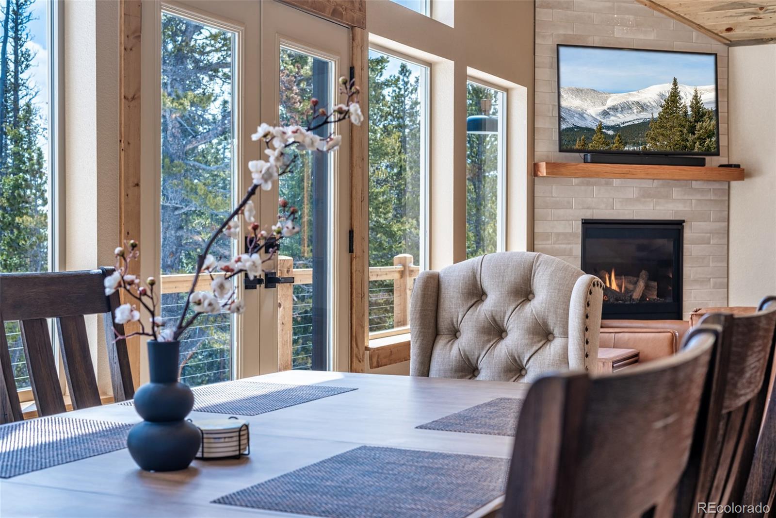 MLS Image #10 for 526  porcupine road,fairplay, Colorado
