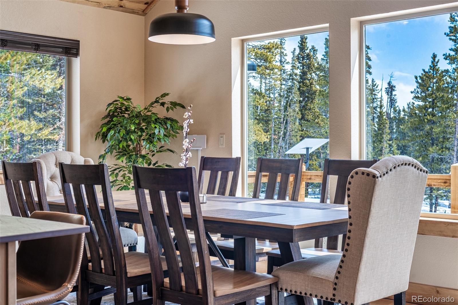 MLS Image #11 for 526  porcupine road,fairplay, Colorado