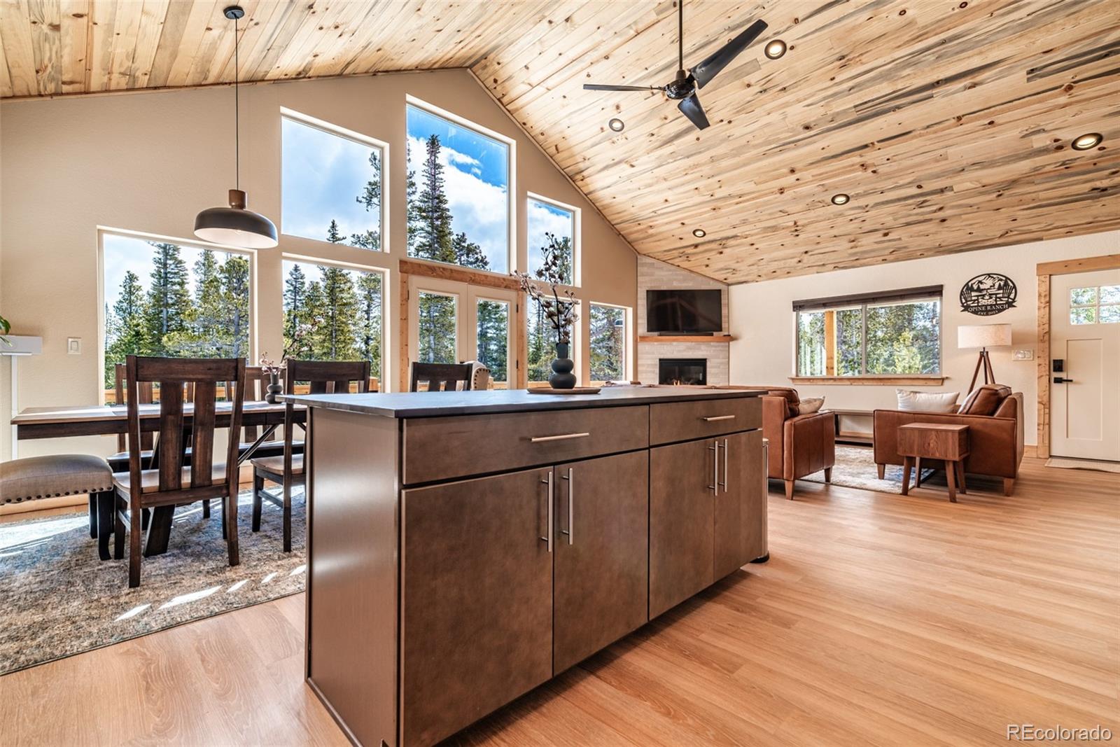 MLS Image #13 for 526  porcupine road,fairplay, Colorado