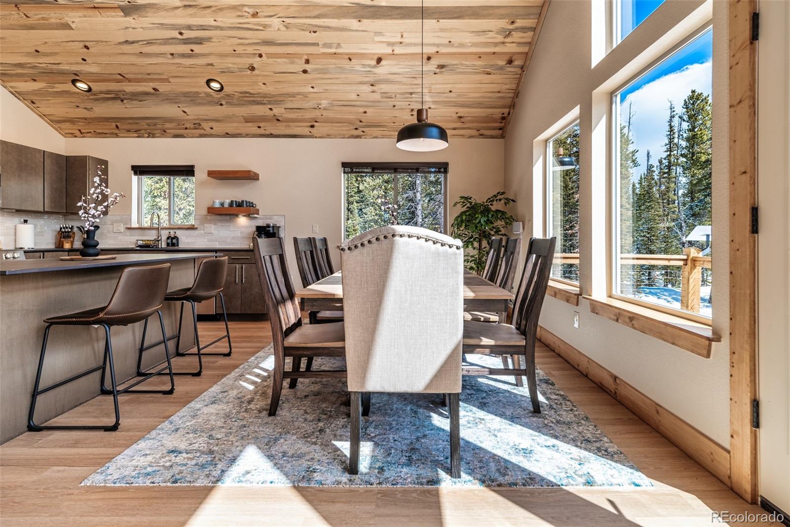 MLS Image #14 for 526  porcupine road,fairplay, Colorado