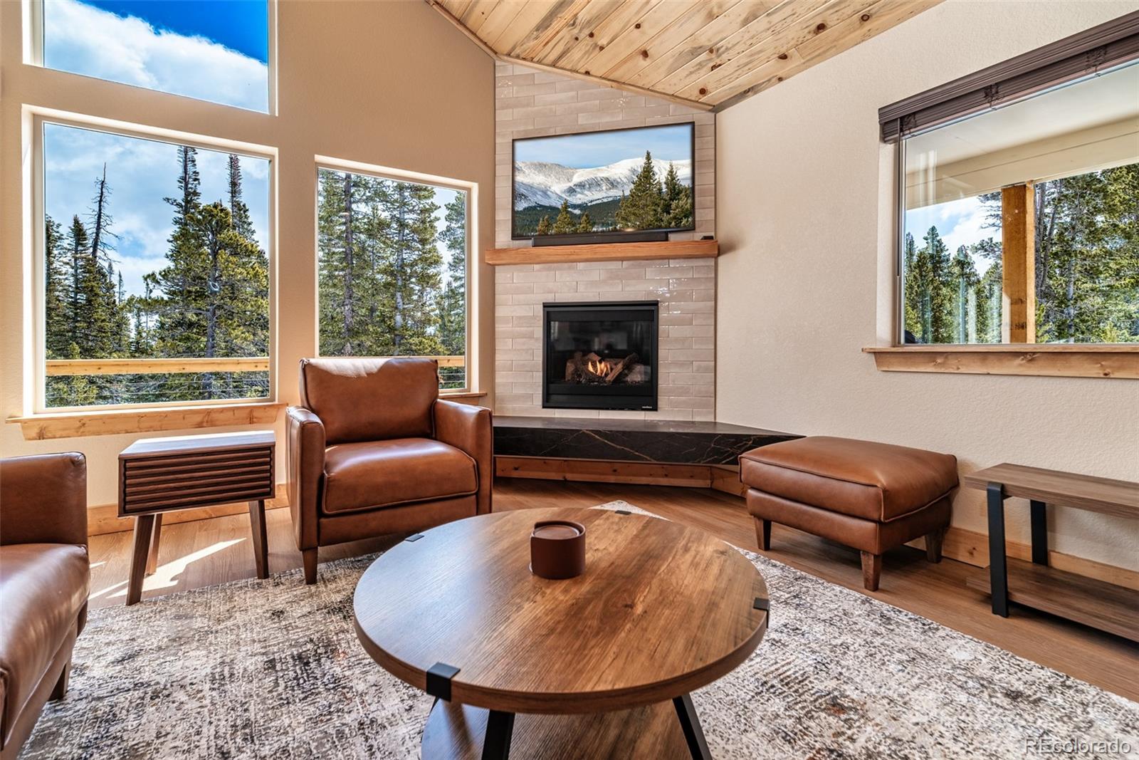MLS Image #17 for 526  porcupine road,fairplay, Colorado