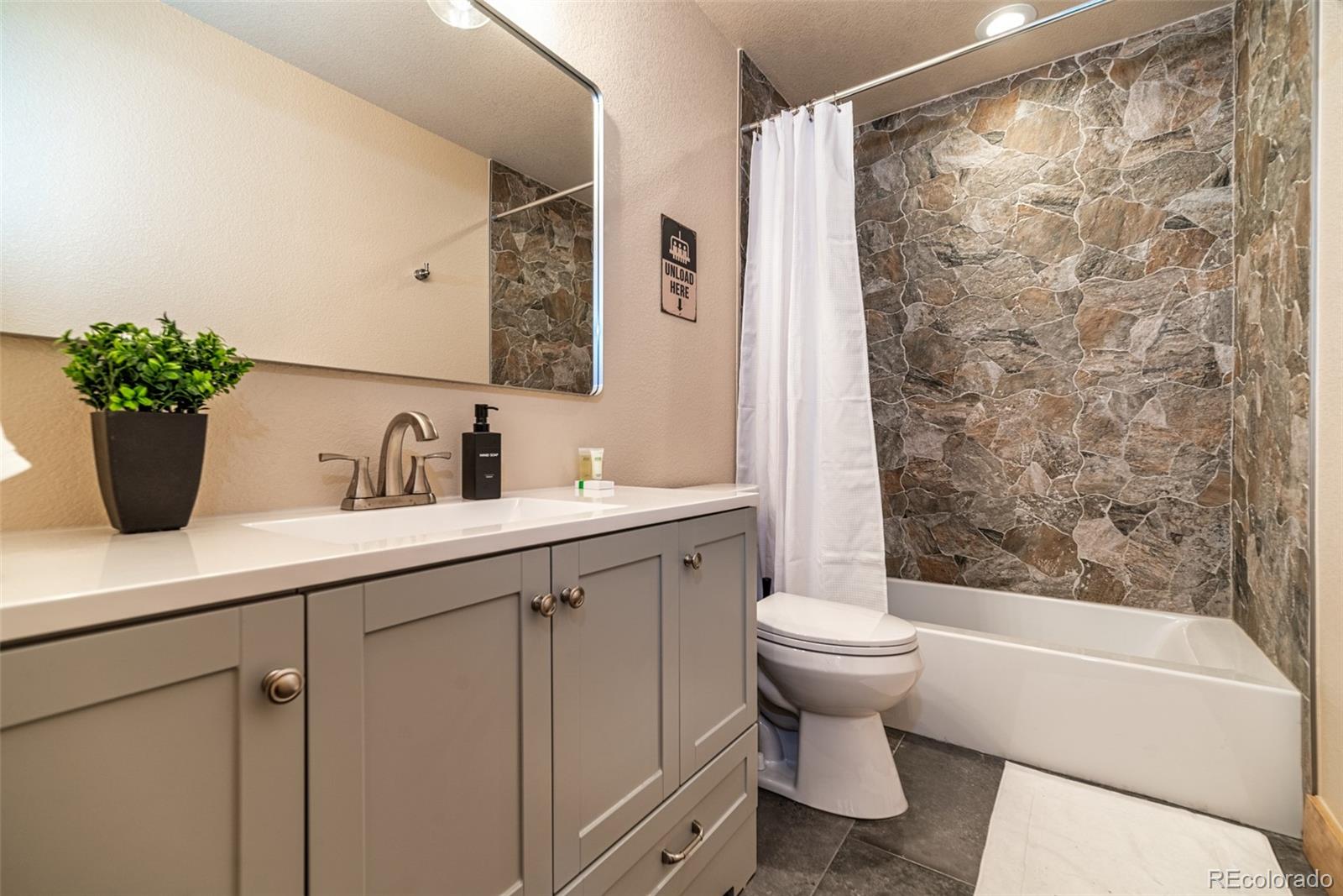 MLS Image #18 for 526  porcupine road,fairplay, Colorado