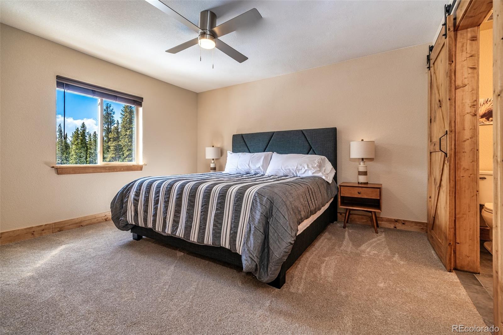 MLS Image #19 for 526  porcupine road,fairplay, Colorado