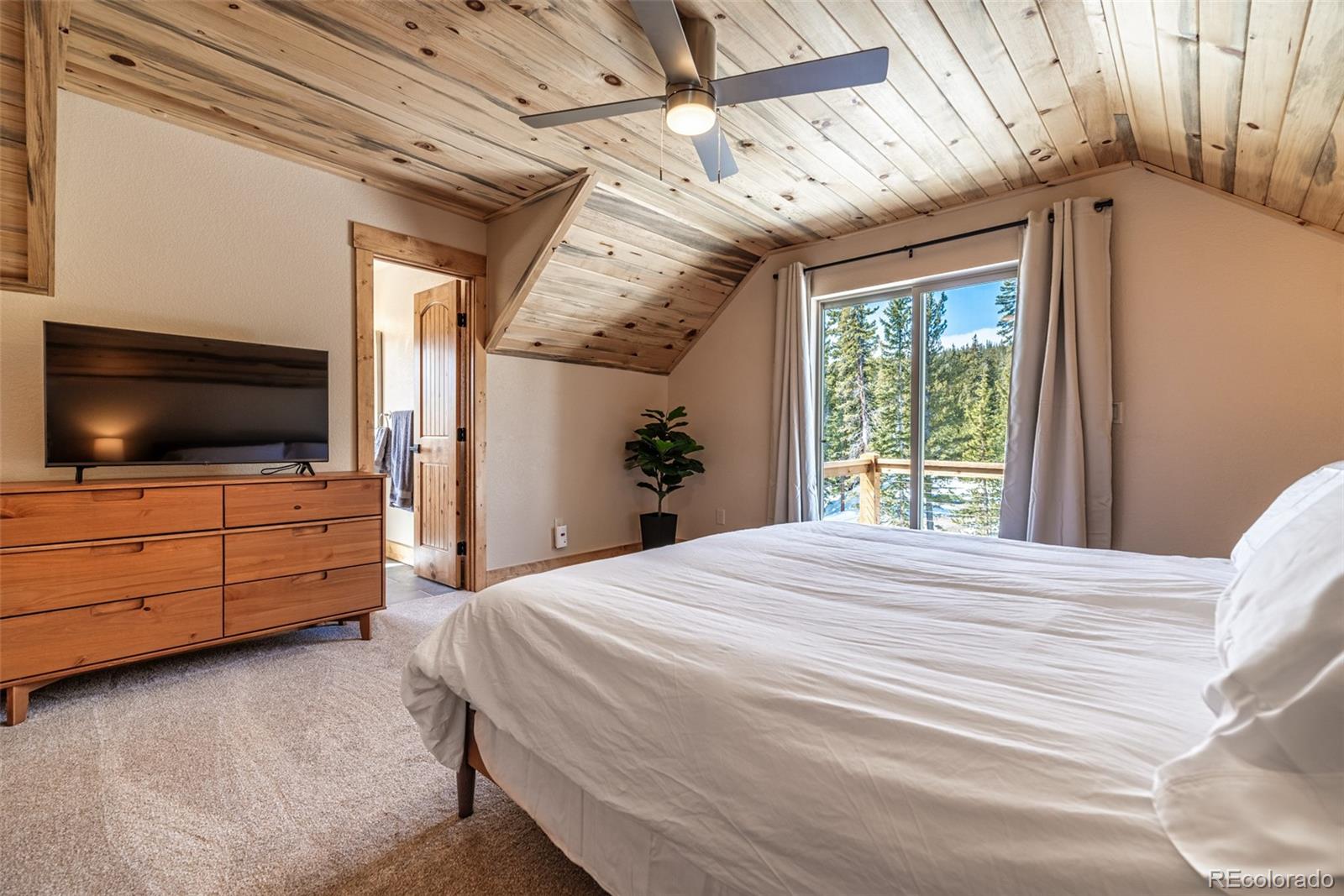 MLS Image #22 for 526  porcupine road,fairplay, Colorado