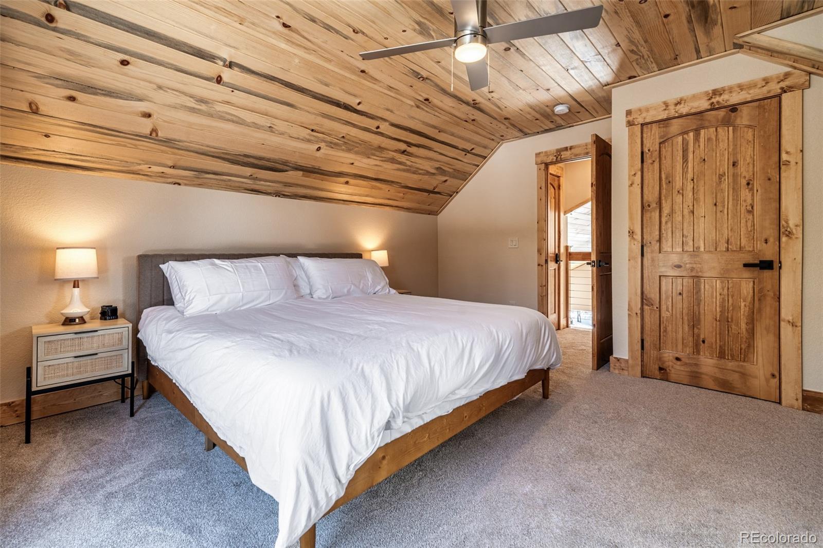 MLS Image #23 for 526  porcupine road,fairplay, Colorado