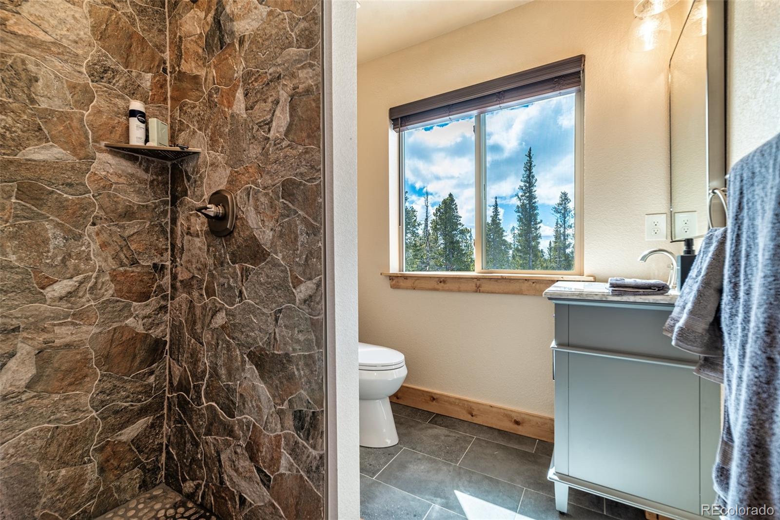 MLS Image #24 for 526  porcupine road,fairplay, Colorado