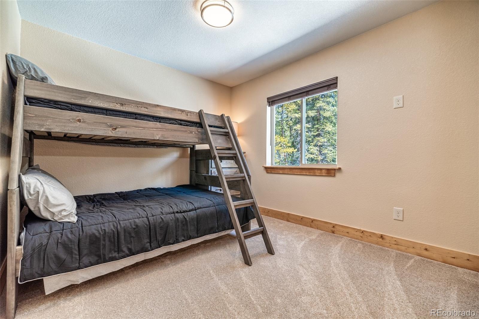 MLS Image #25 for 526  porcupine road,fairplay, Colorado