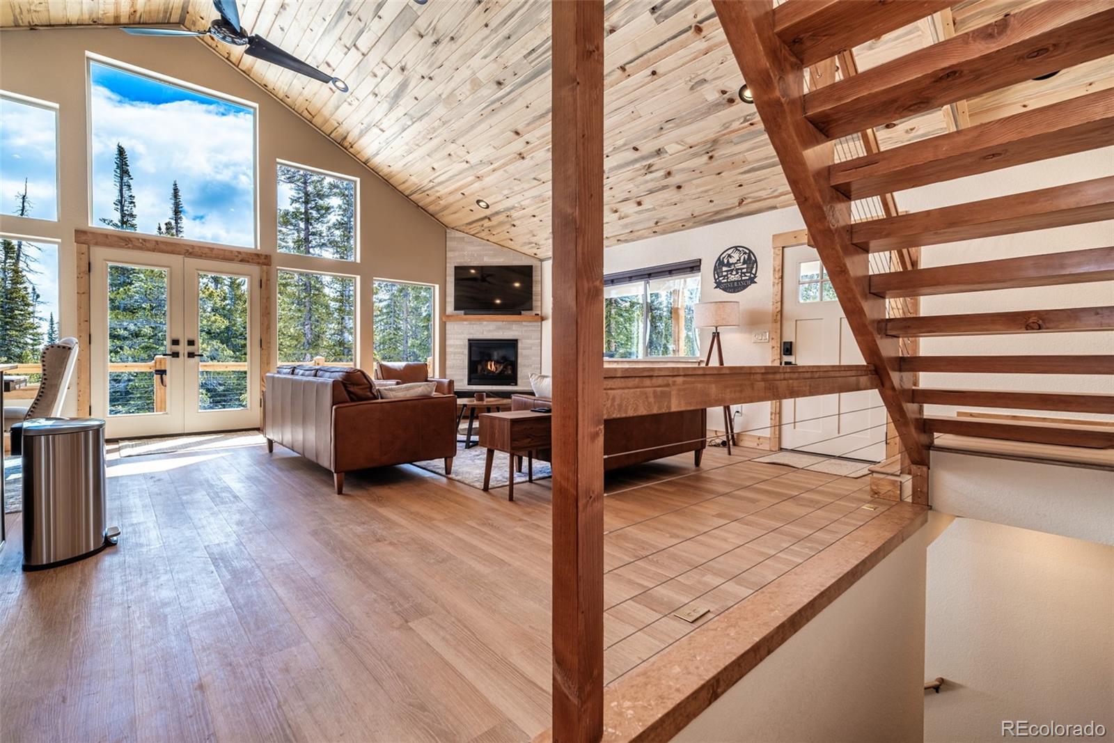 MLS Image #26 for 526  porcupine road,fairplay, Colorado