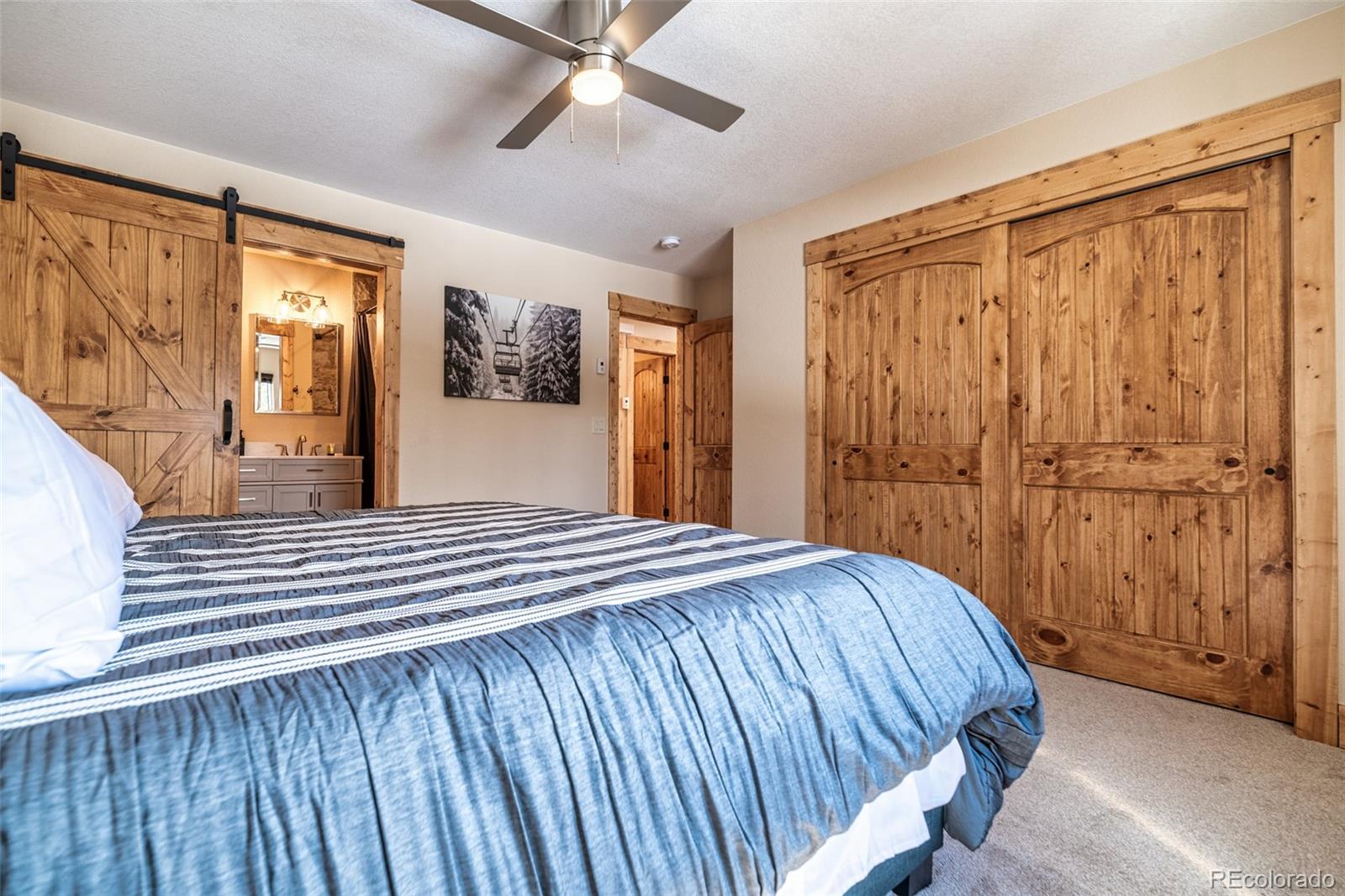 MLS Image #4 for 526  porcupine road,fairplay, Colorado