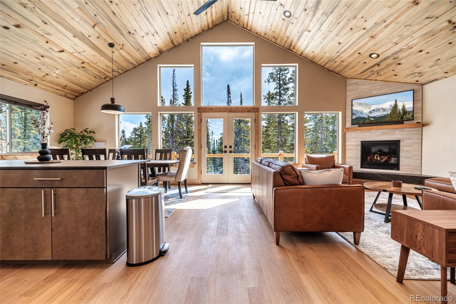 MLS Image #5 for 526  porcupine road,fairplay, Colorado
