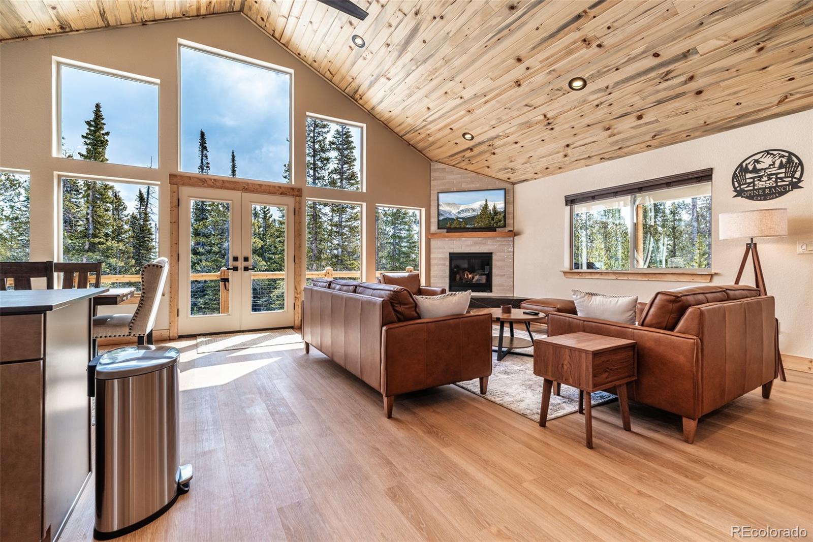 MLS Image #6 for 526  porcupine road,fairplay, Colorado