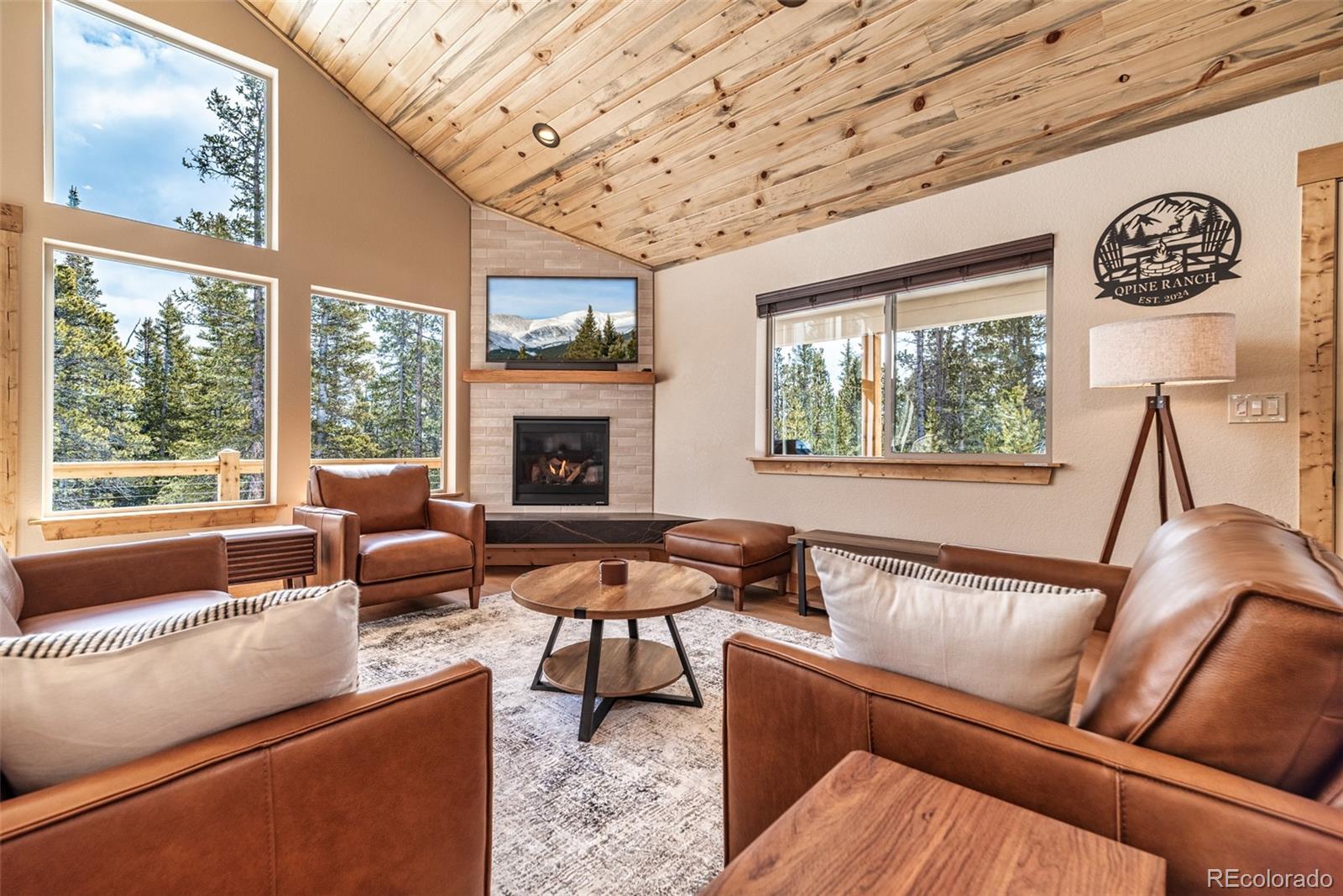 MLS Image #7 for 526  porcupine road,fairplay, Colorado