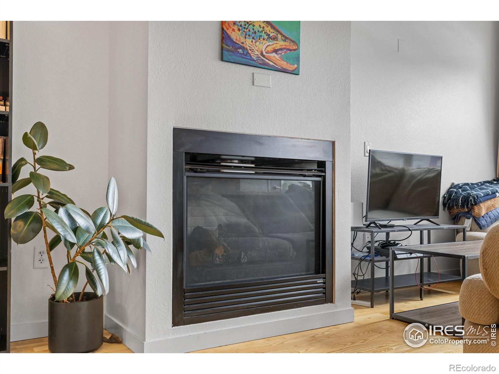 MLS Image #11 for 1555  central street,denver, Colorado