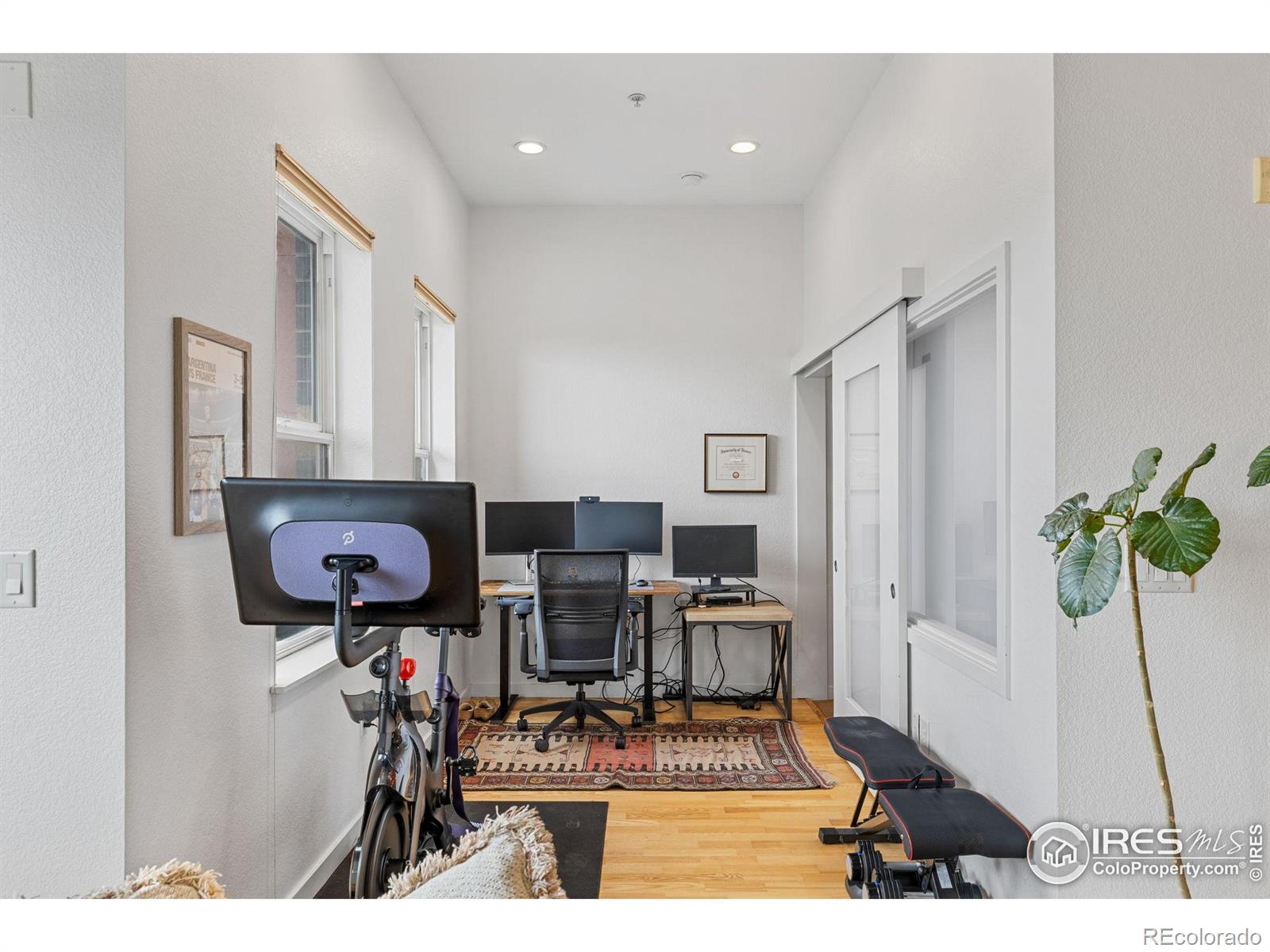 MLS Image #16 for 1555  central street,denver, Colorado