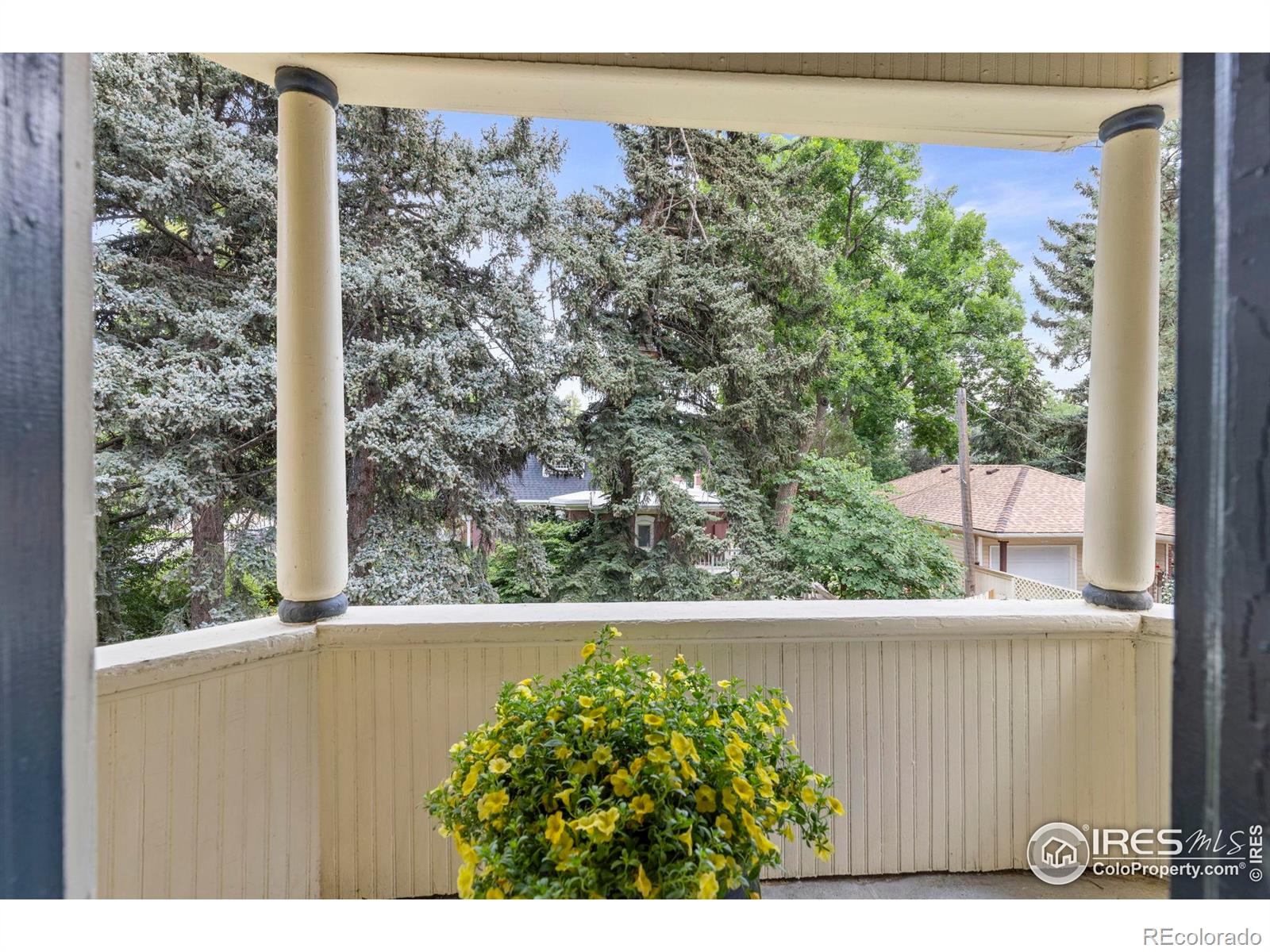 MLS Image #18 for 831  4th avenue,longmont, Colorado